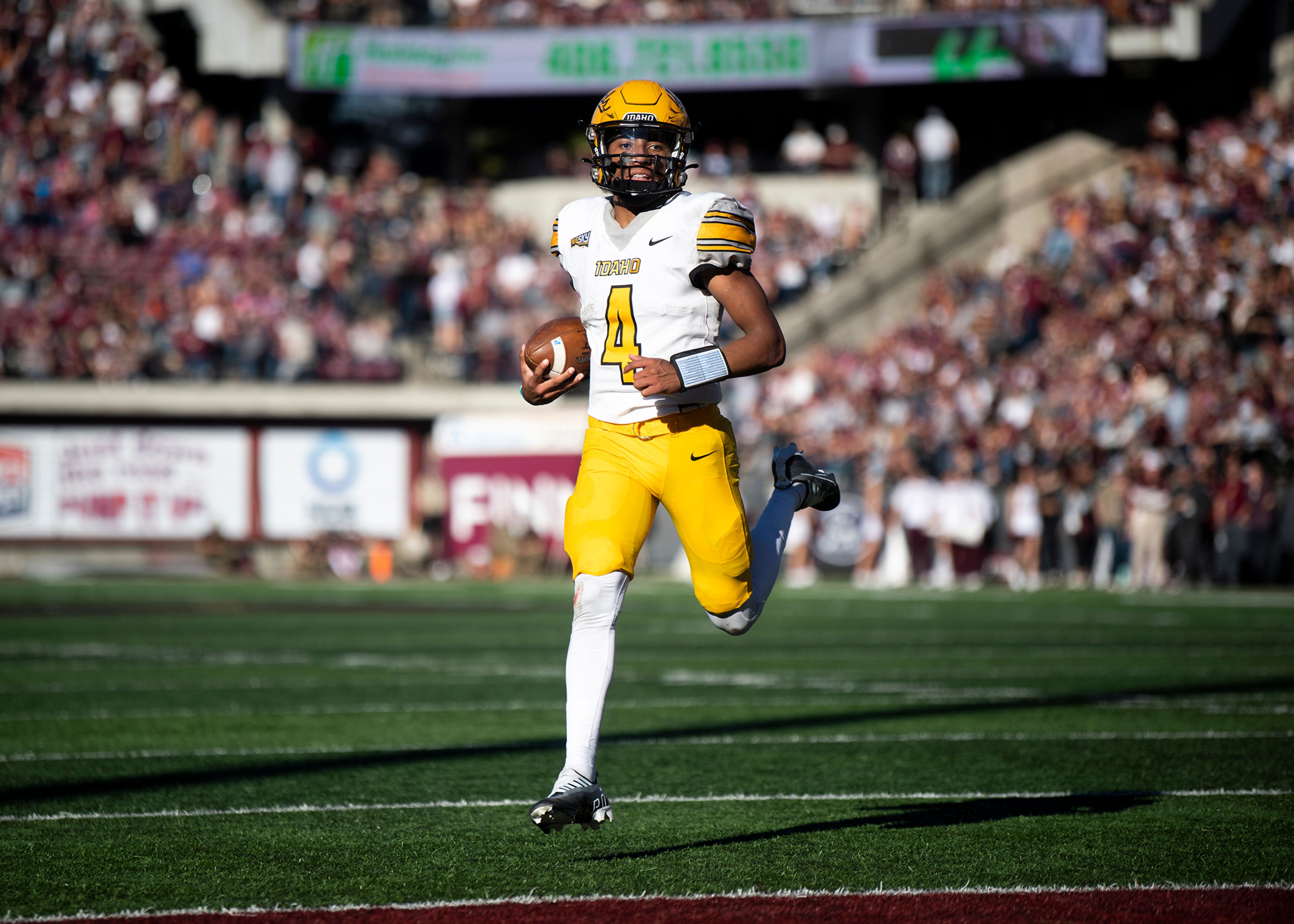 Idaho Vandals quarterback Gevani McCoy (4) runs the ball into the end zone for a 2-point conversion during the Big Sky Conference football game between the Griz and Idaho at Washington-Grizzly Stadium, Saturday, Oct. 15, 2022.