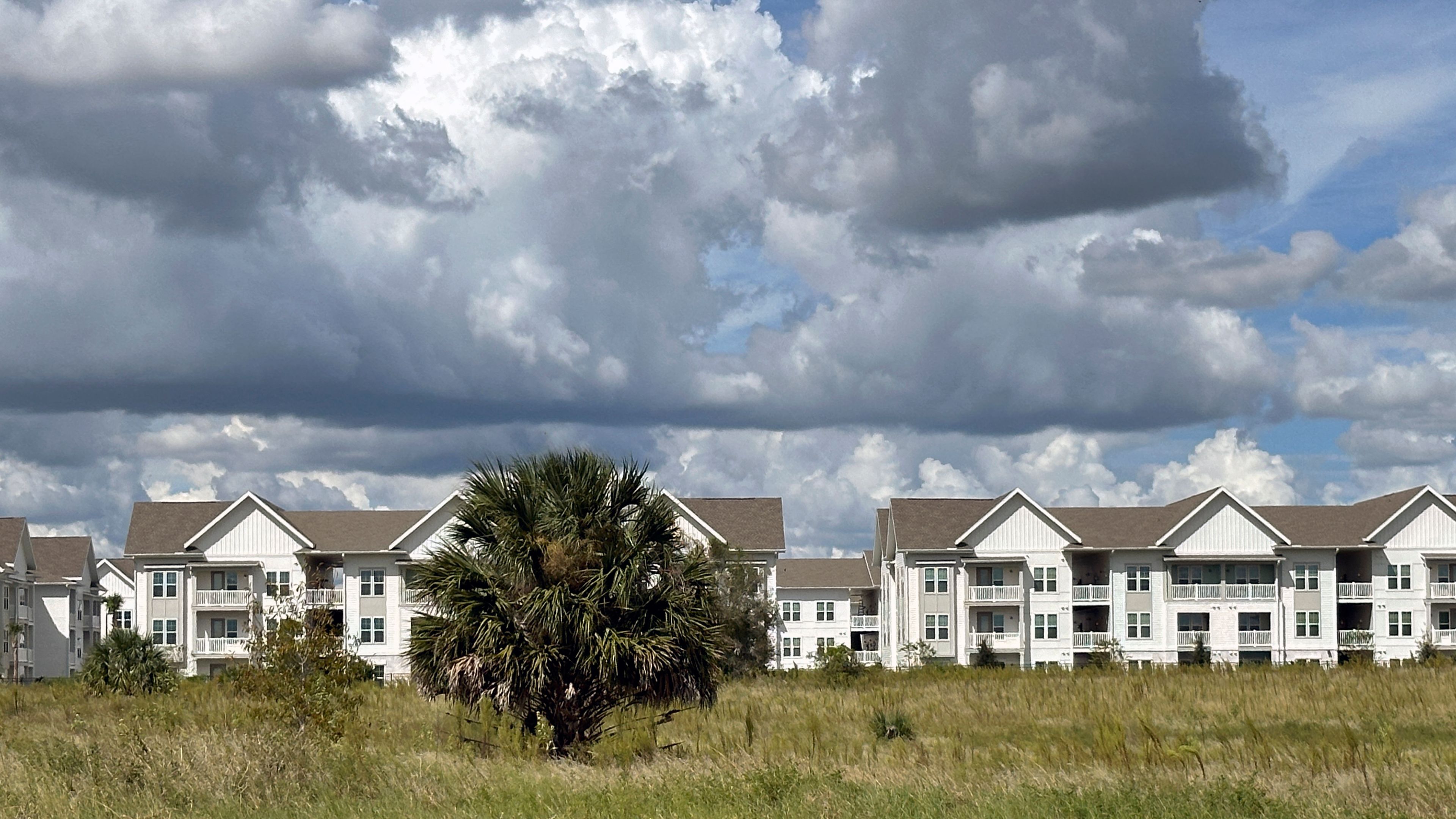 The newly-constructed The Brightly Apartments rises from what was formally a citrus grove nearby Haines City, Florida Saturday, Oct. 5, 2024. (AP Photo/Mike Schneider)