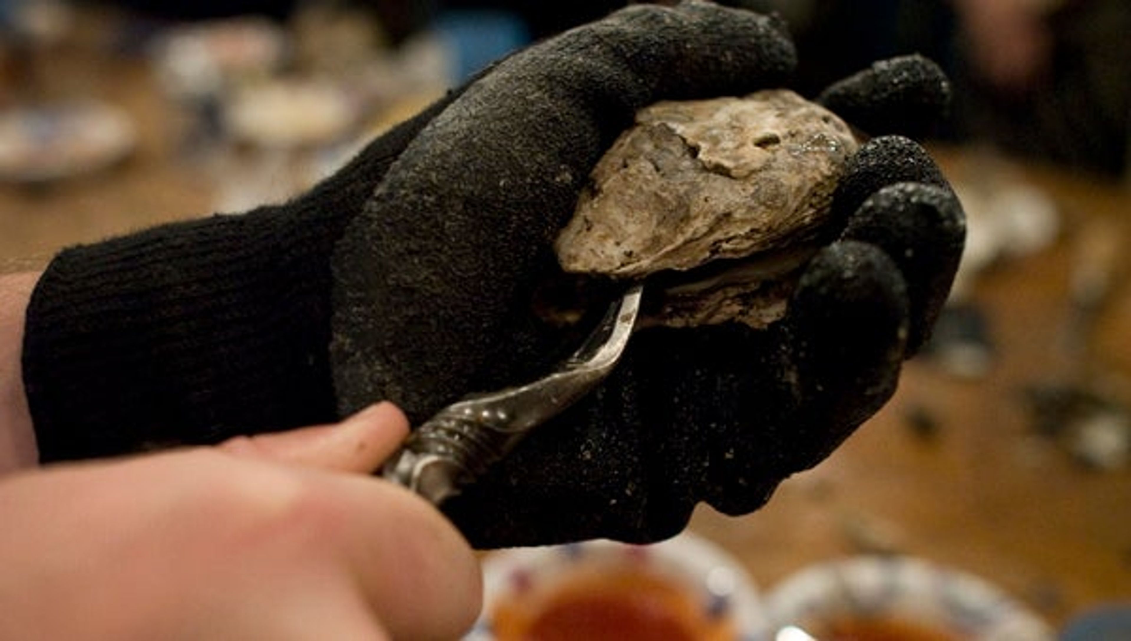 FILE PHOTO | DAILY NEWS
COASTAL TREASURE: Oysters have long been a coastal North Carolina treasure, served up at oyster roasts all over the region and other parts of the state. A bill in the N.C General Assembly, if it becomes law, would require the state to develop a 10-year plan regarding improving the state's shellfish aquaculture industry.