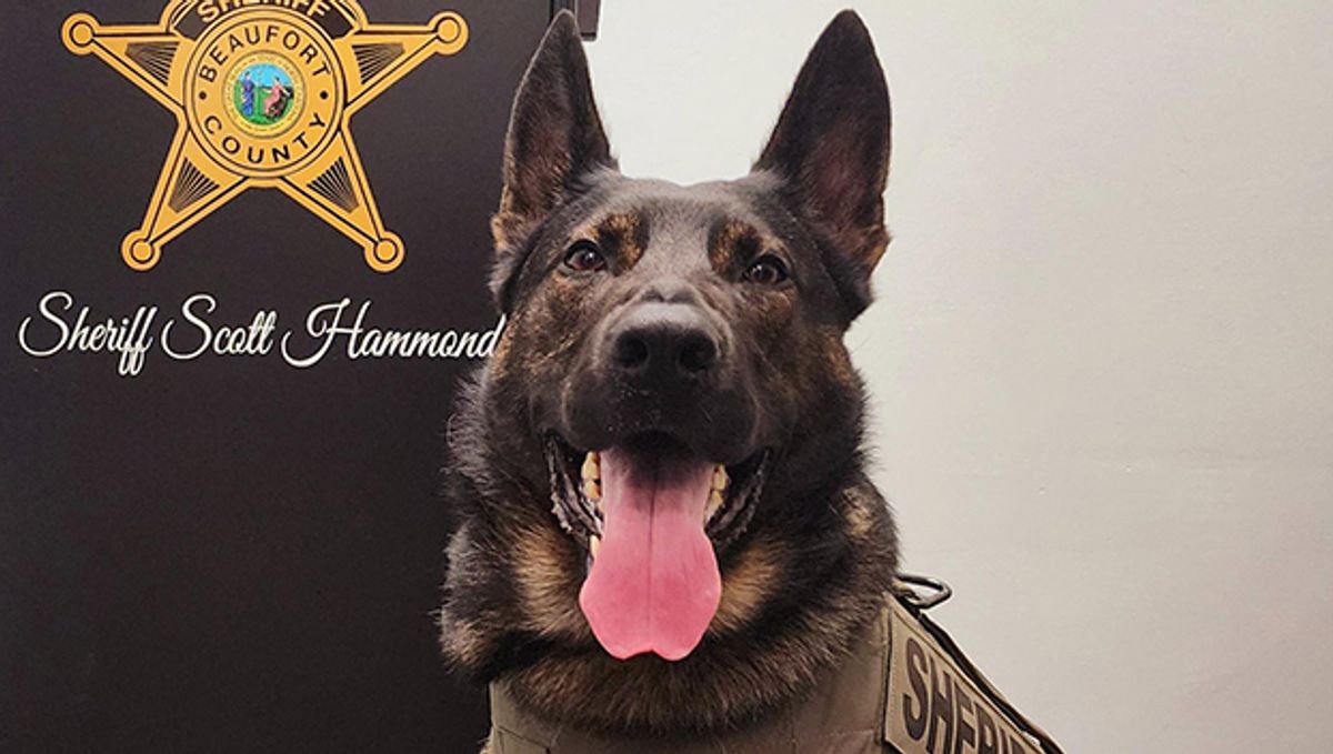 Sheriff's Office: K-9 Athos recovering from life-threatening...