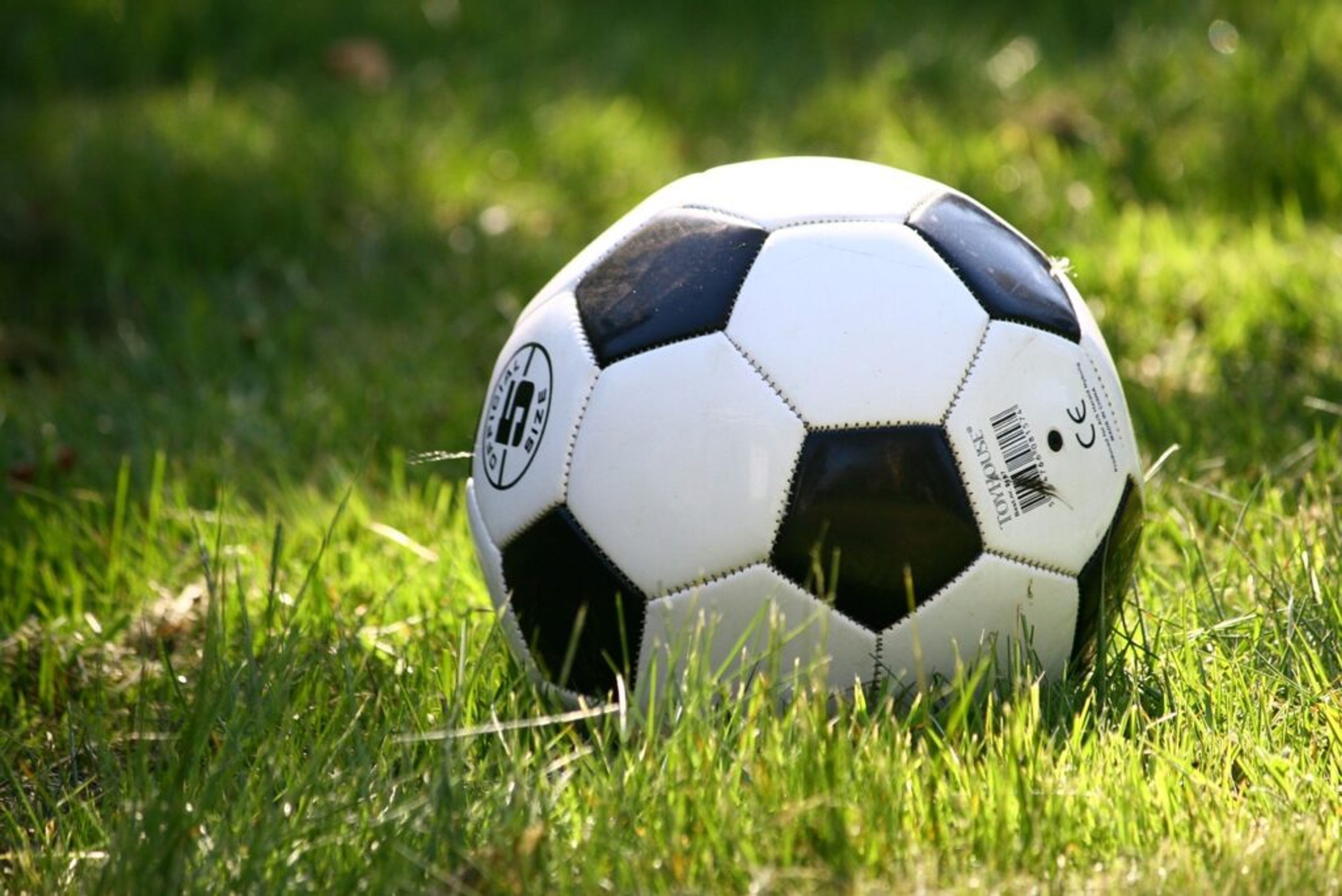 Ladybirds clip Red Rams 3-2