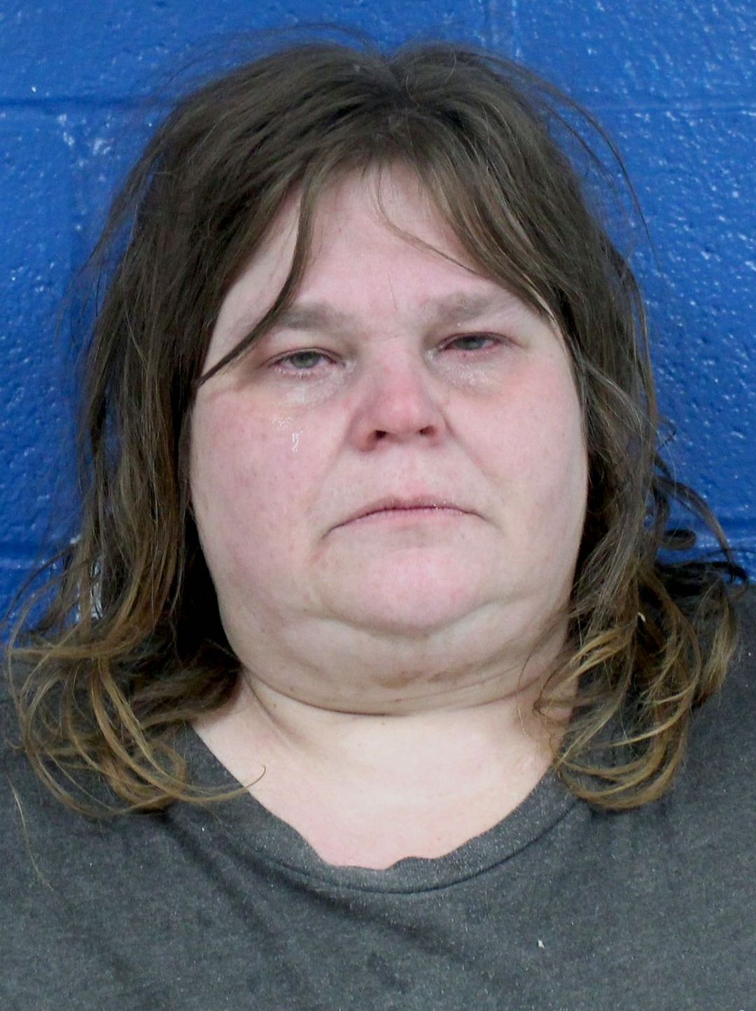 Teen removed from home; woman arrested on animal cruelty cha...