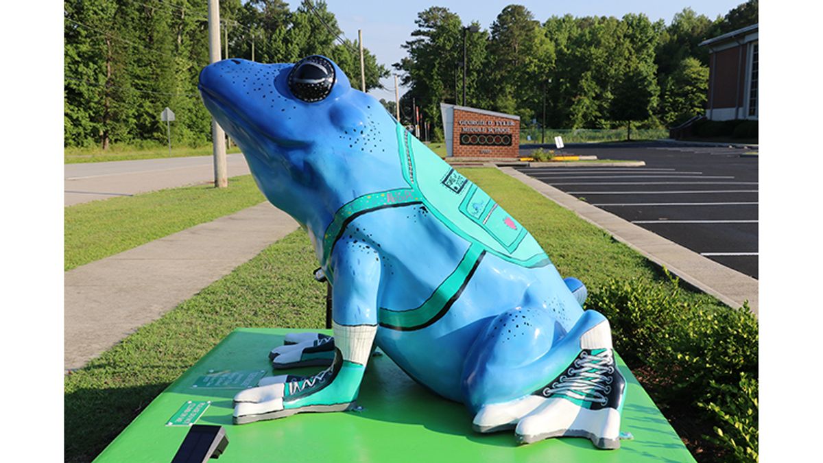 Town's newest frog goes to middle school