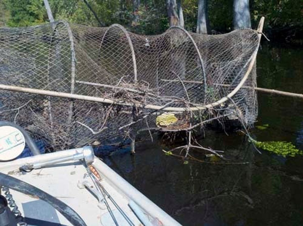 Riverkeeper report: Improper use, care of turtle traps should end with...