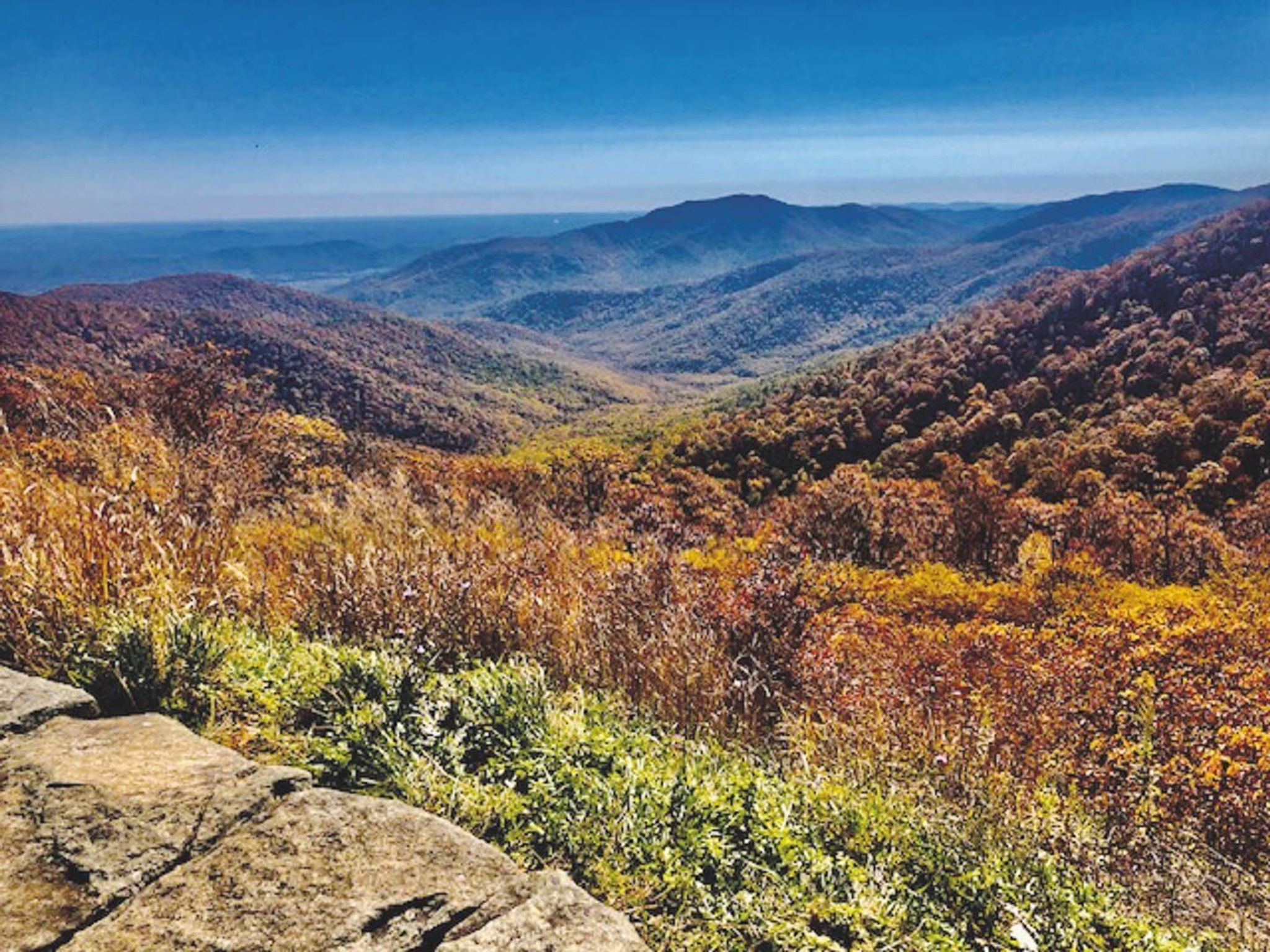Shenandoah National Park: ‘Several weeks’ from peak fall col...