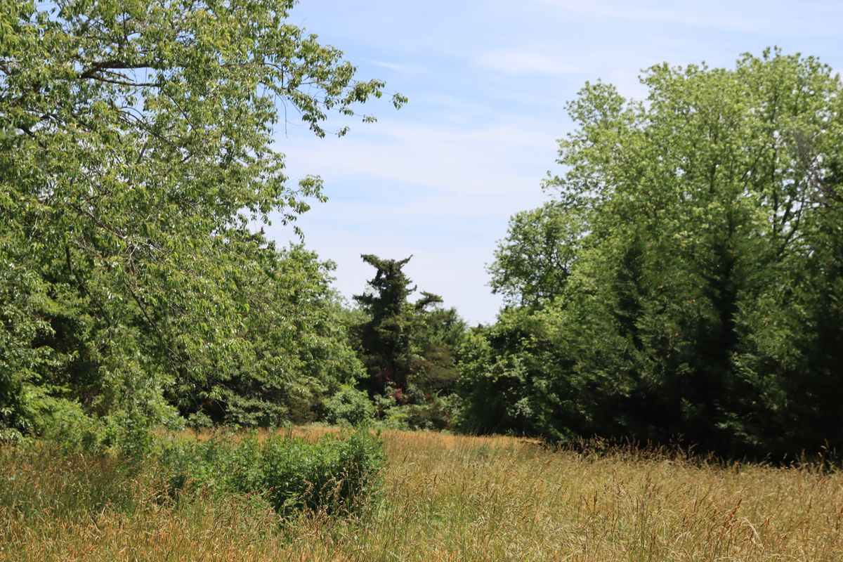 County Buys 3.2 Acres for Open Space in Rio Grande