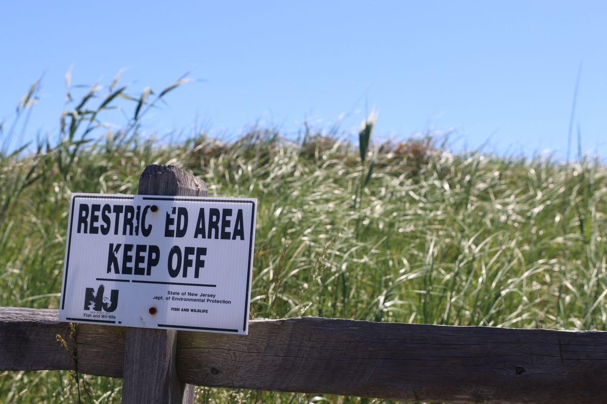 What the Heck is Going on at Higbee Beach? Trails, Islands, ...