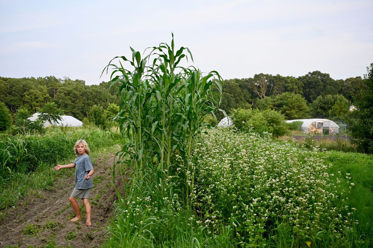 How Woodbine’s Potato Homestead Survives in a Big-Ag World