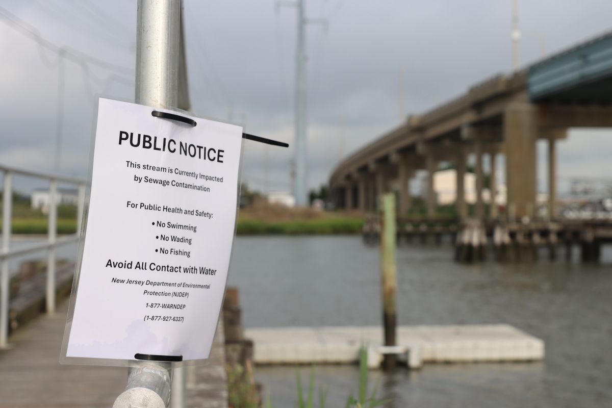 Sewer Discharge Caused Elevated Bacteria in Ocean City Back ...