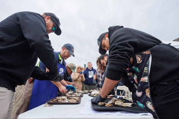 5th Annual New Jersey Oyster Festival Brings 400 Guests to Bayshore Center at Bivalve - Cape May County events and local stories