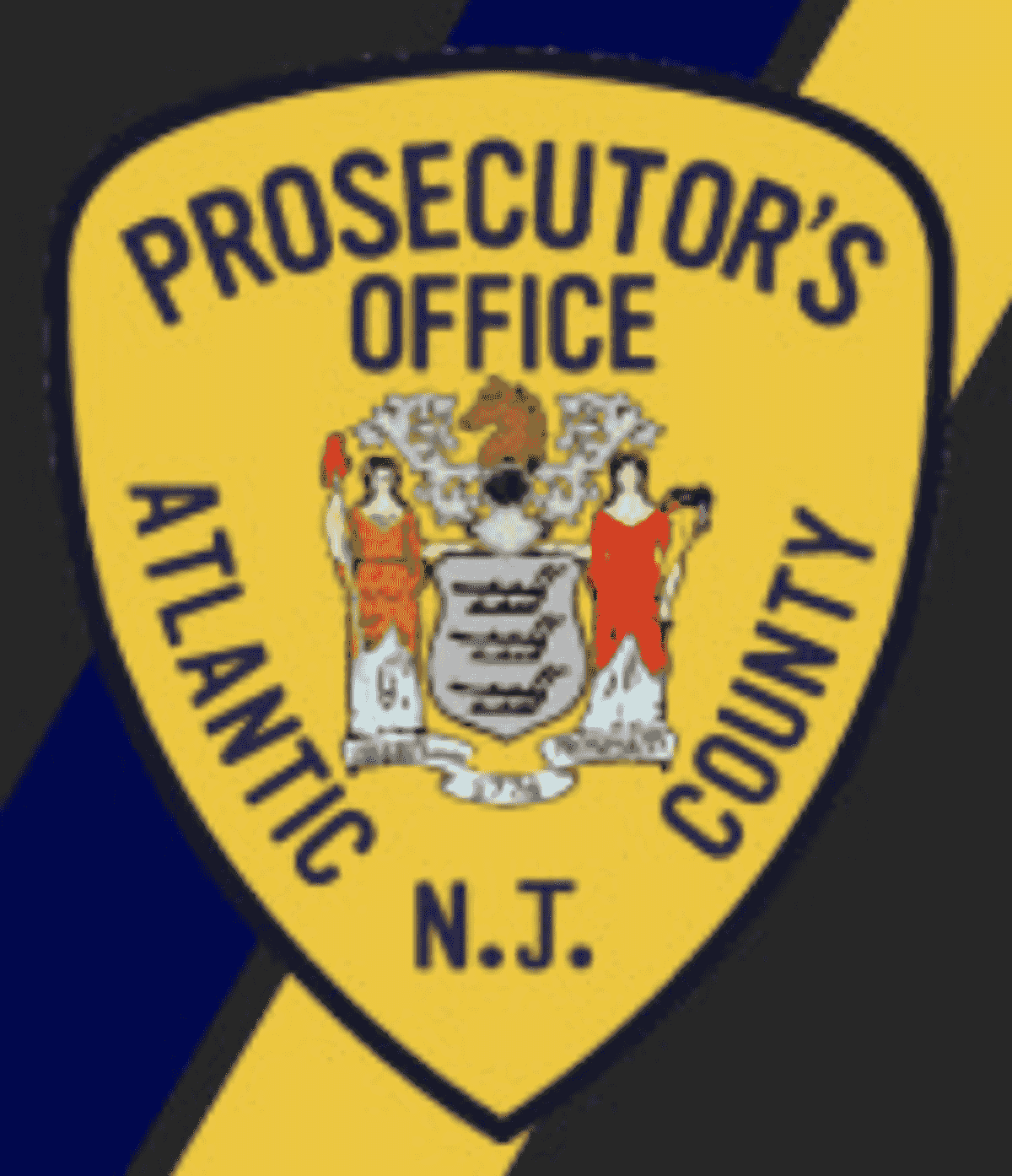 Teacher's Aide in Woodbine Charged With Sexual Assault of Youngsters