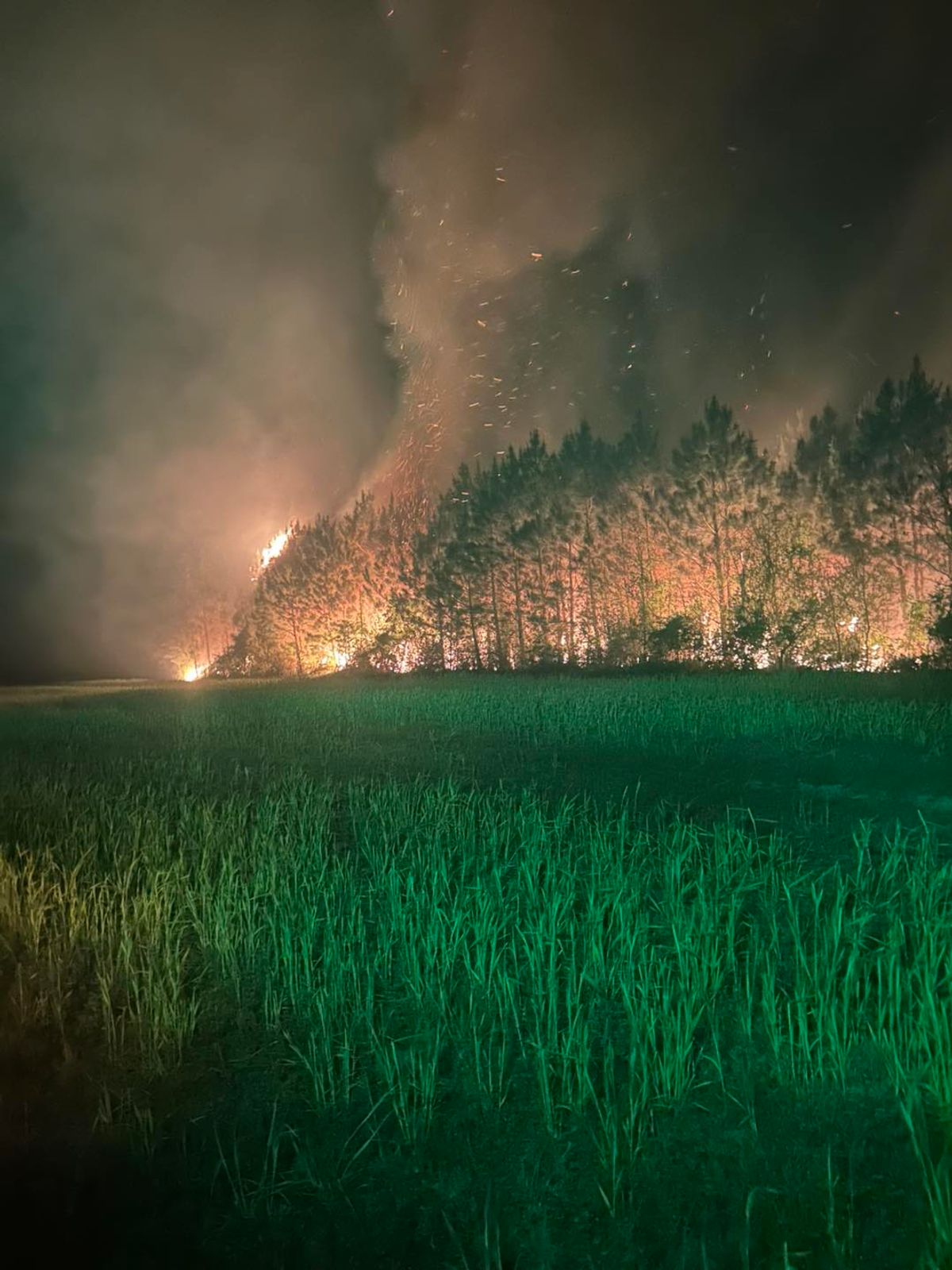Second Suffolk brush fire burns 40 acres near site of Thursd...