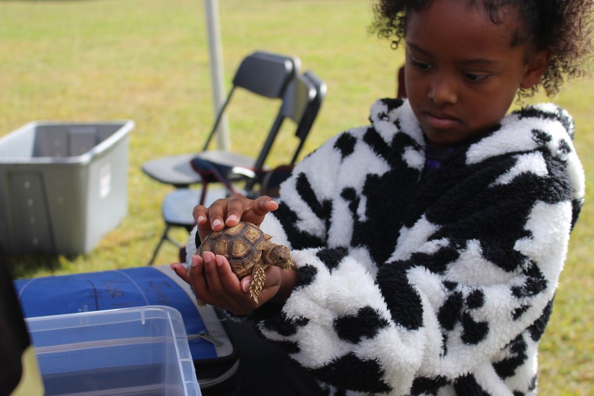 Annual Mutt Strut showcases local animal shelters