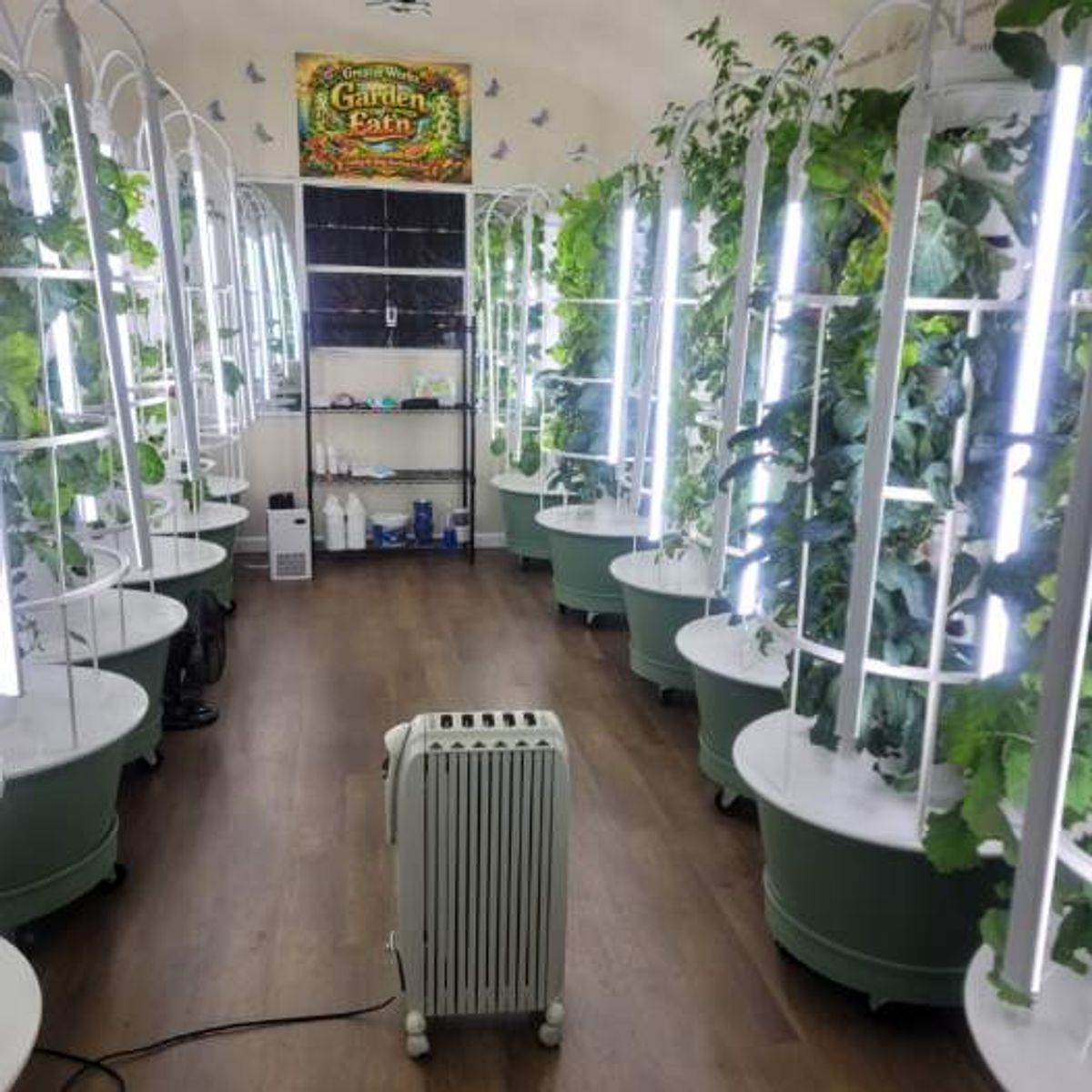 Suffolk church introduces indoor aeroponics for food insecurity