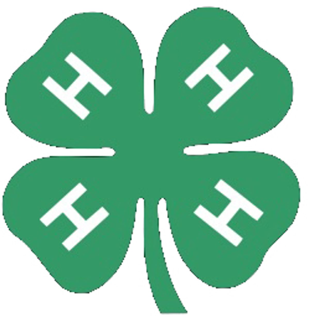 Suffolk 4-H camp enrollment jumps 46%