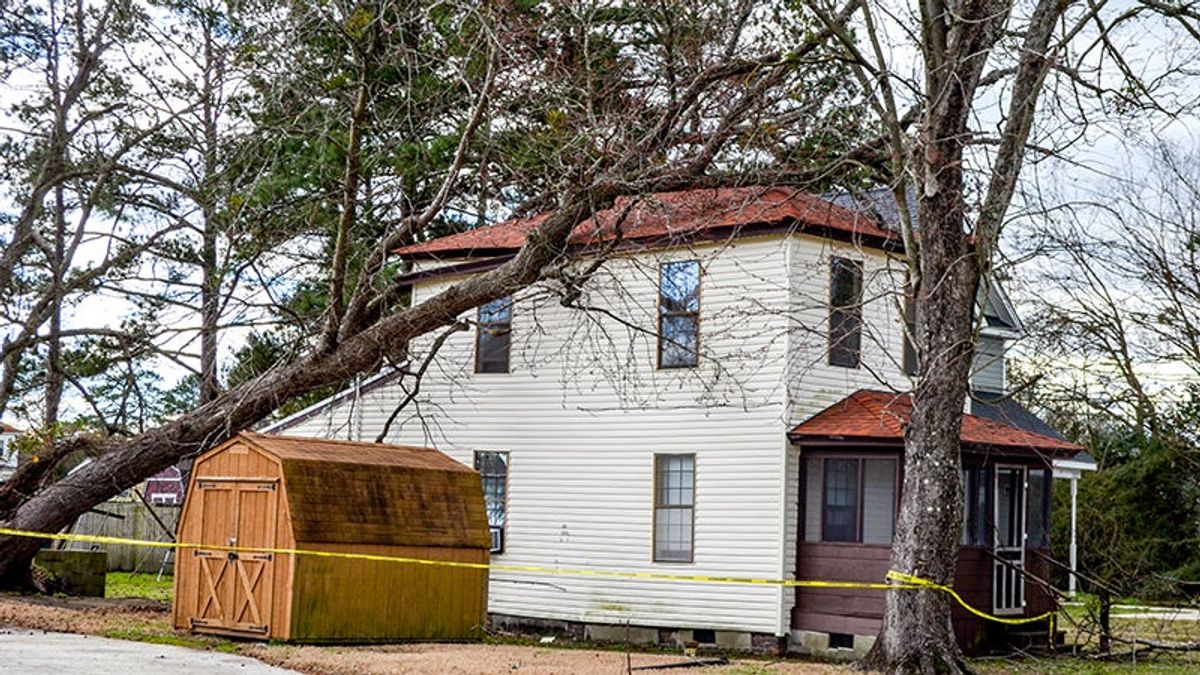 Wind, rain cause flooding and downed trees in Suffolk