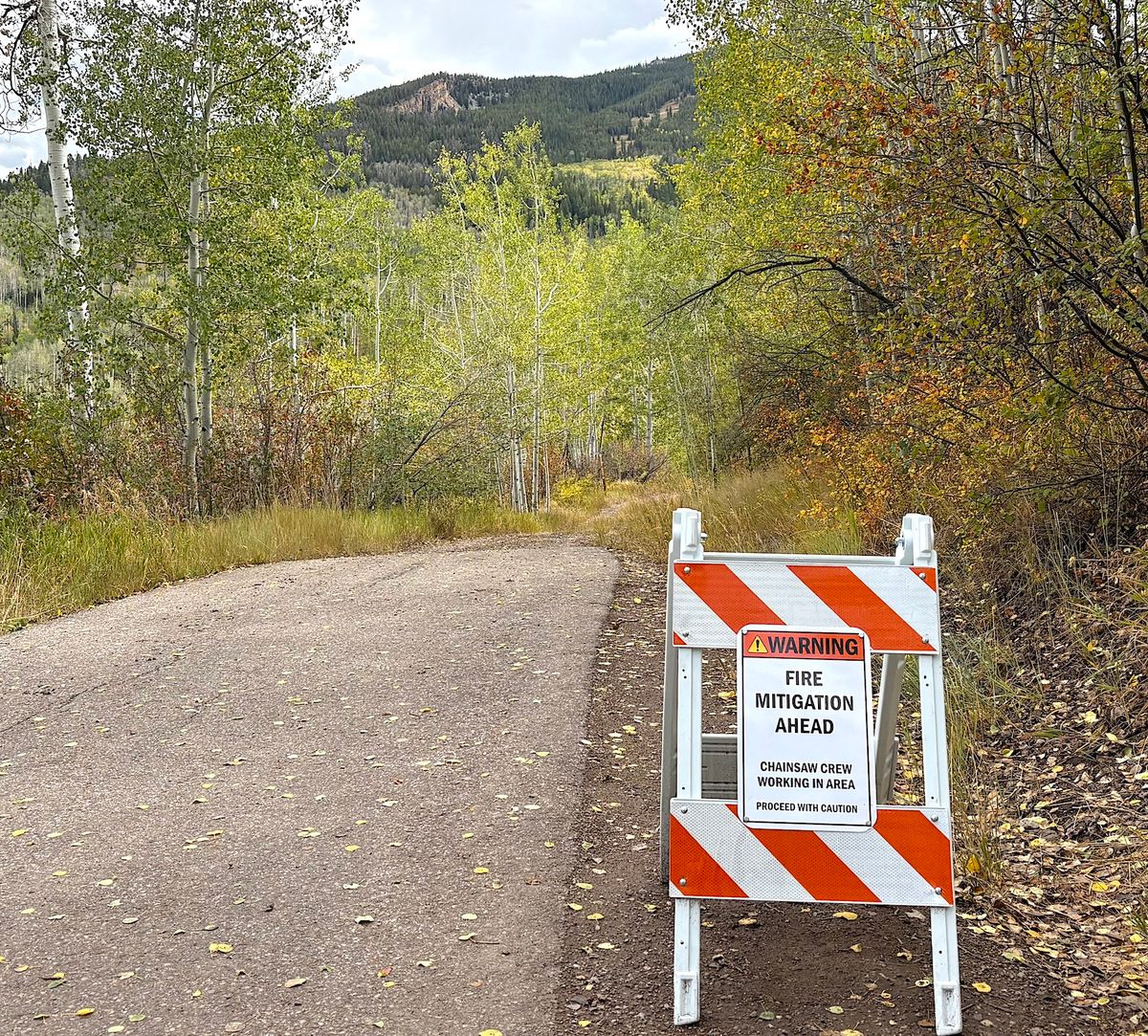 Snowmass Village wildfire mitigation comes with $25M price tag