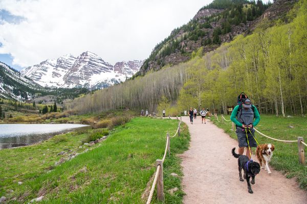 Groups call for greater public input on proposed Maroon Bell...