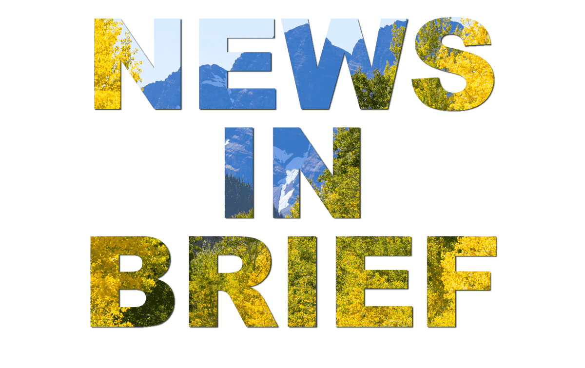 Local news in brief, Aug. 4