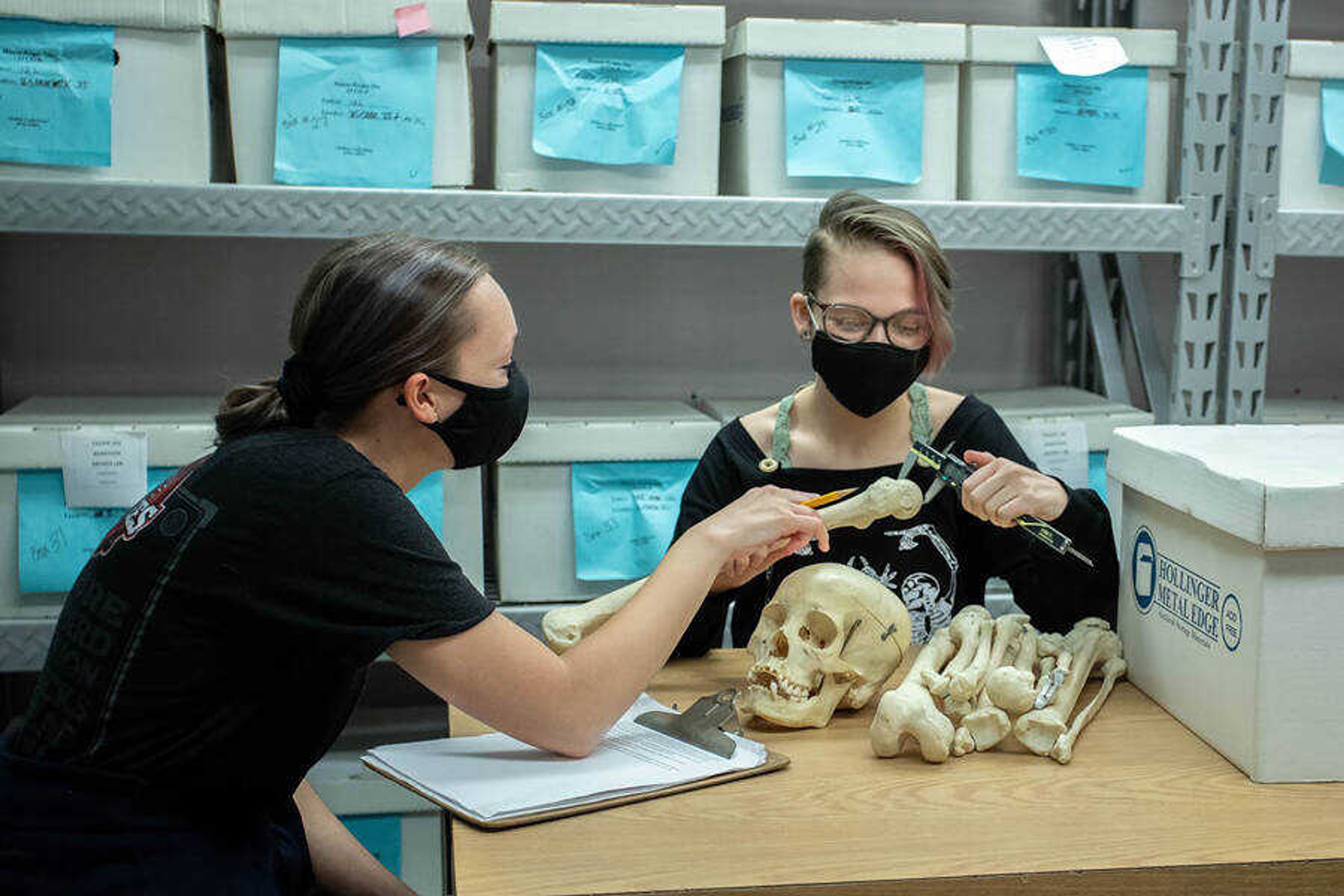 Southeast anthropology club members study a skeleton at Pacific Hall on Sept. 17.