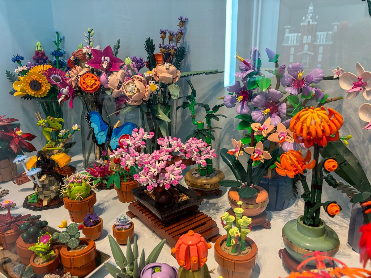 LEGO Fun Day draws families to Crisp Museum