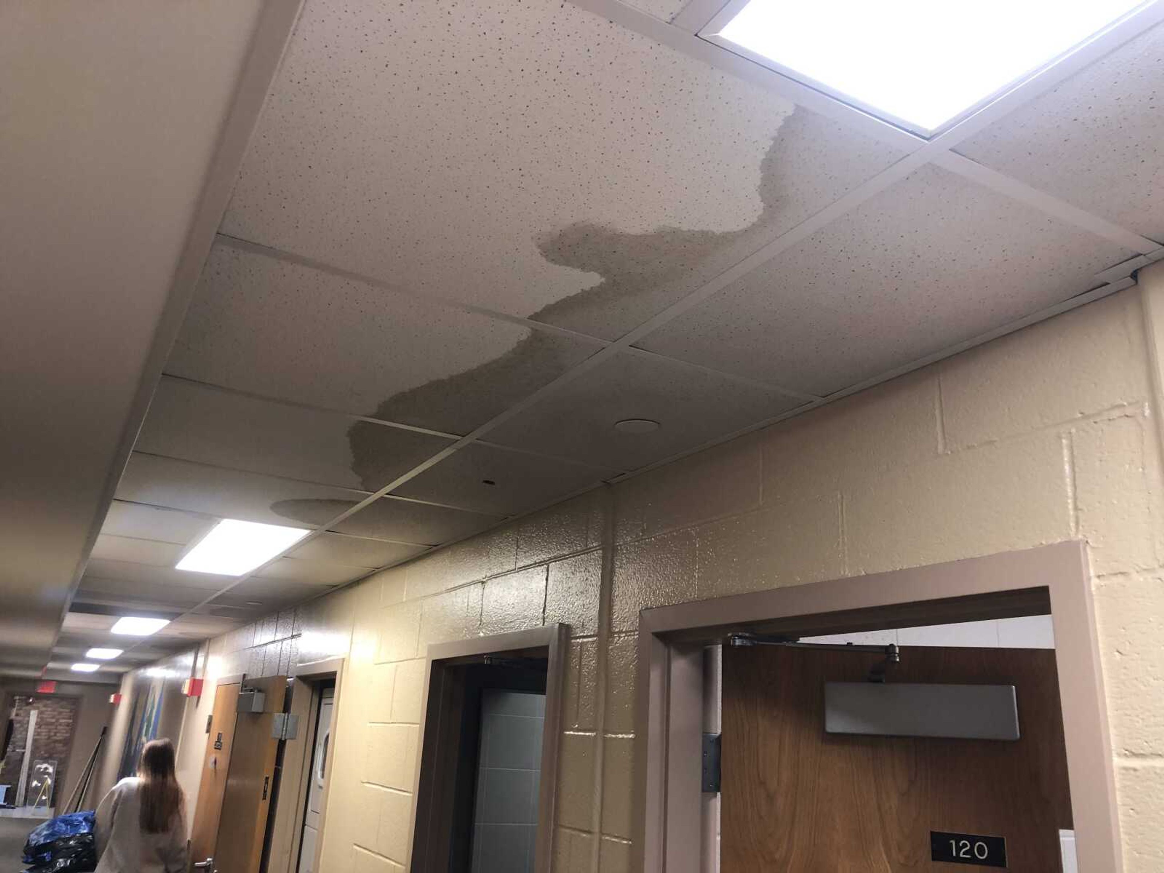 Ceiling tiles in the basement of the Delta Delta Delta house show water damage after the house flooded on Saturday, Nov. 9.
