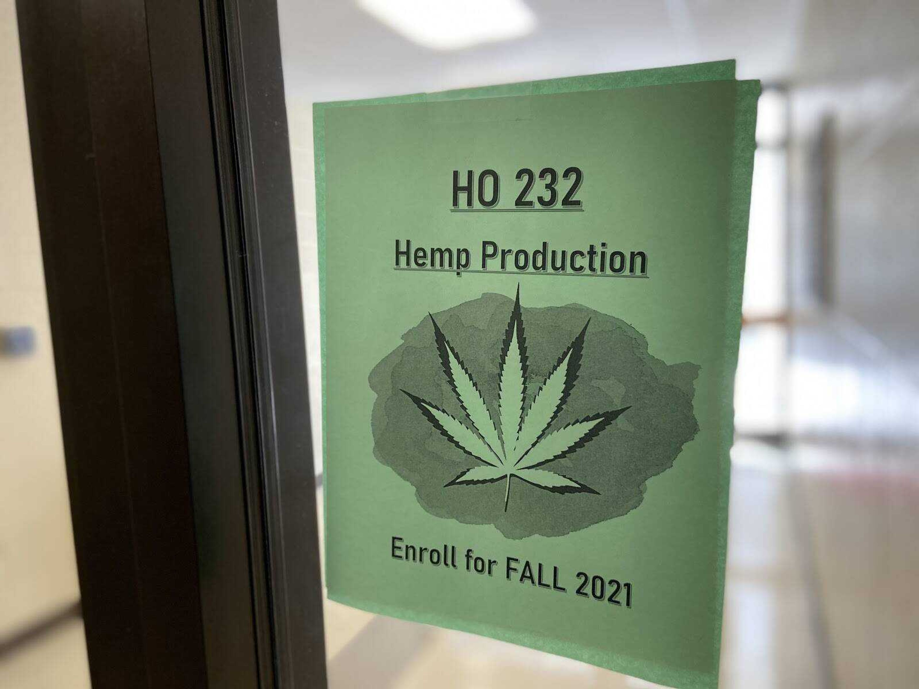 Flyer for HO232 Hemp Production class in Rhodes hall. The class will be offered to all students in Fall 2021.