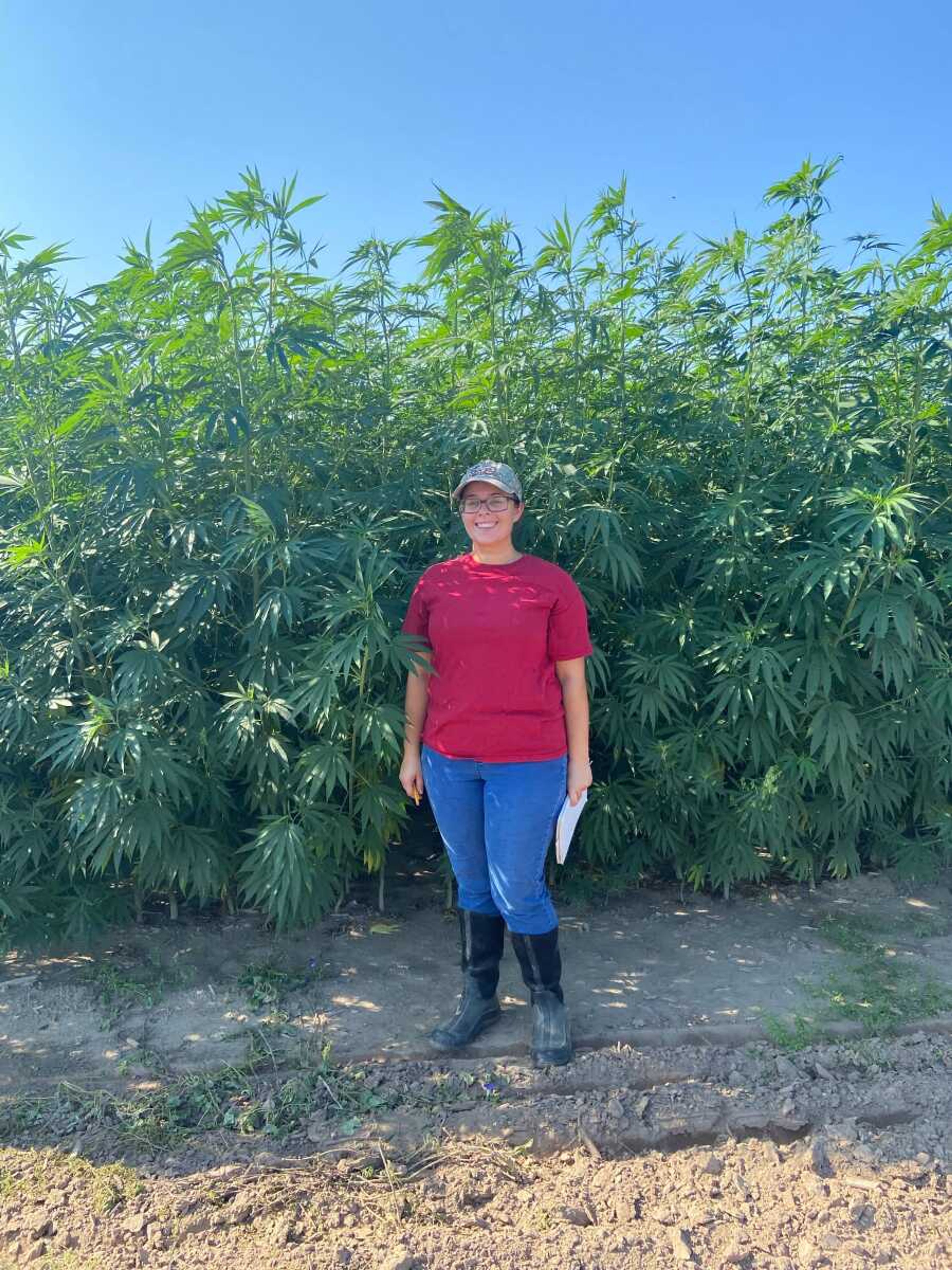Horticulture and Animal Science senior Rachel Swicionis at the University farm standing with over six feet tall hemp. The Farm is running hemp fiber, grain, and CBD trails to help better understand what climate and soil is best for the plant.