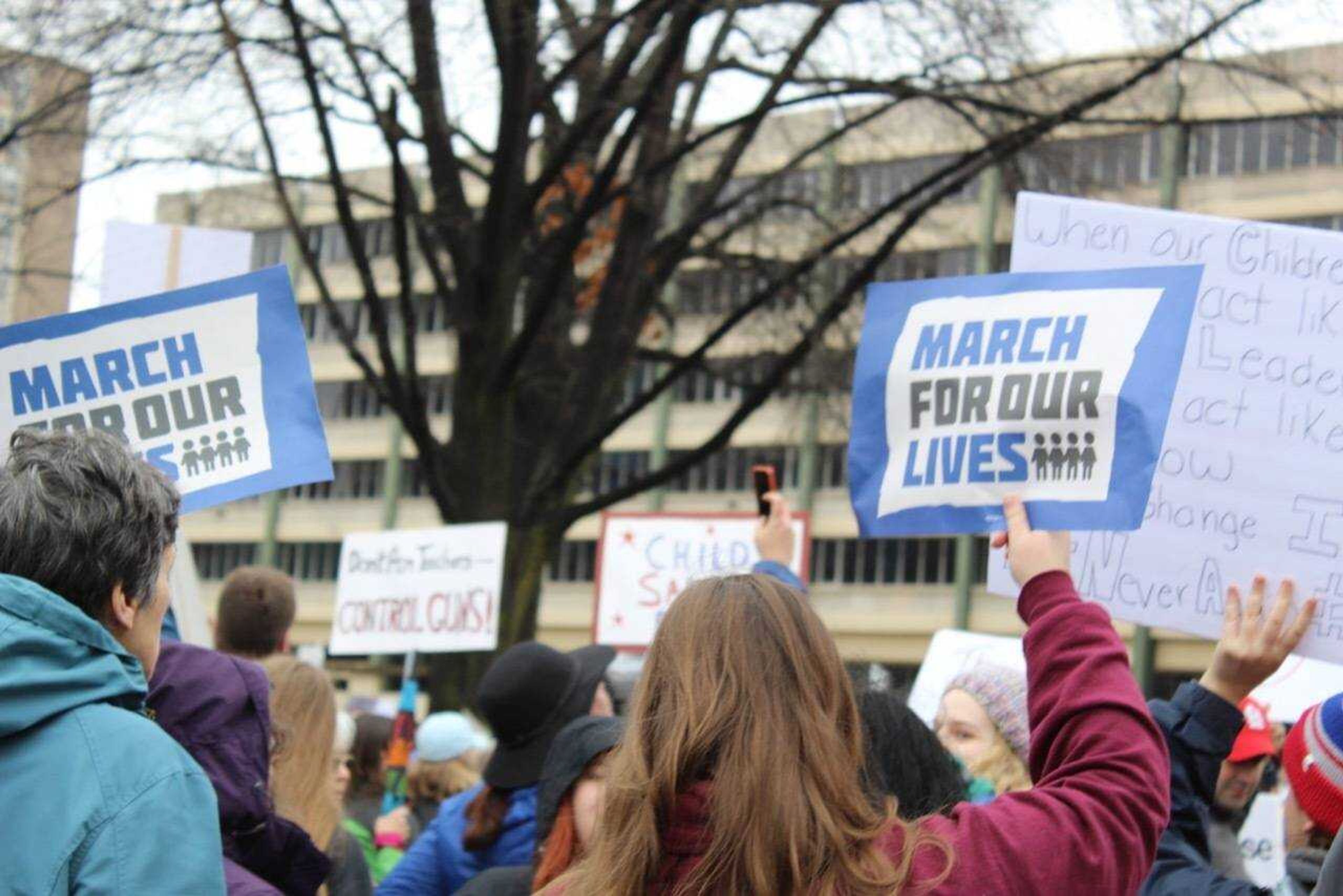 A scene from the Saint Louis March for Our Lives on March 24.