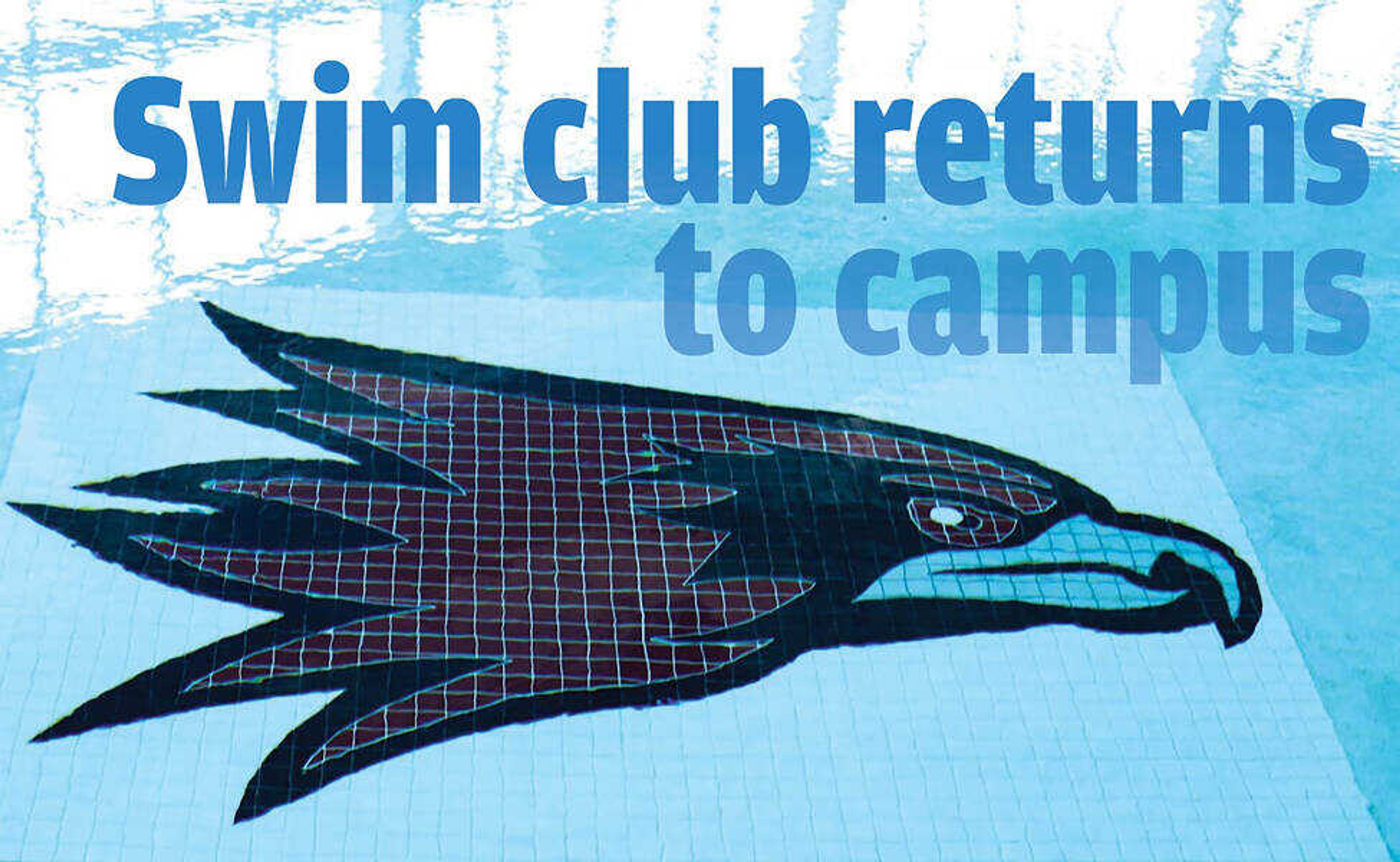 Swim club makes waves as team returns to campus