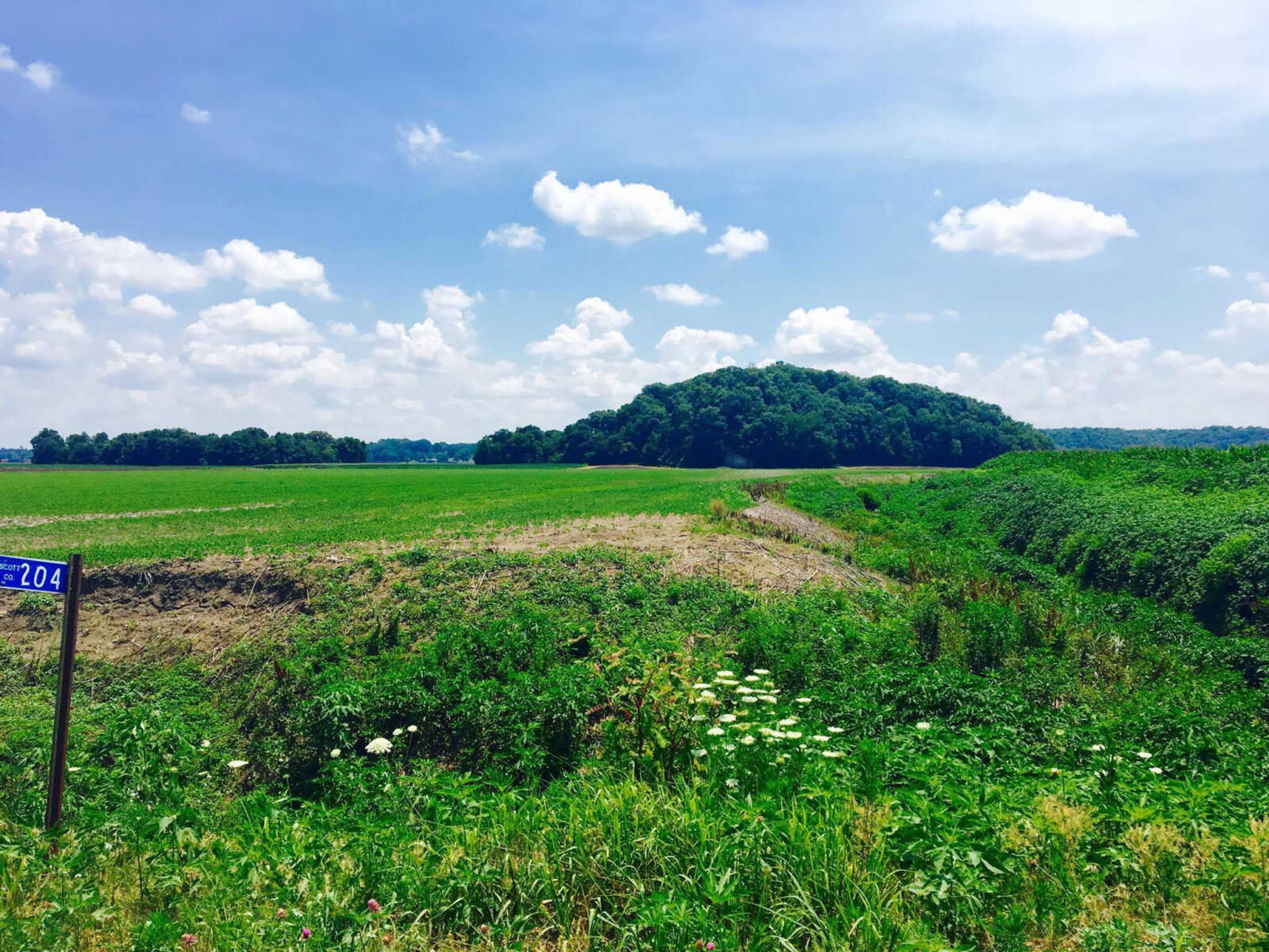 The UFO is said to have landed in the field shown above nearby the Cape Girardeau Regional Airport. According to Huntington, researchers pinpointed the location and hope to begin studying the land for remains of the crash.