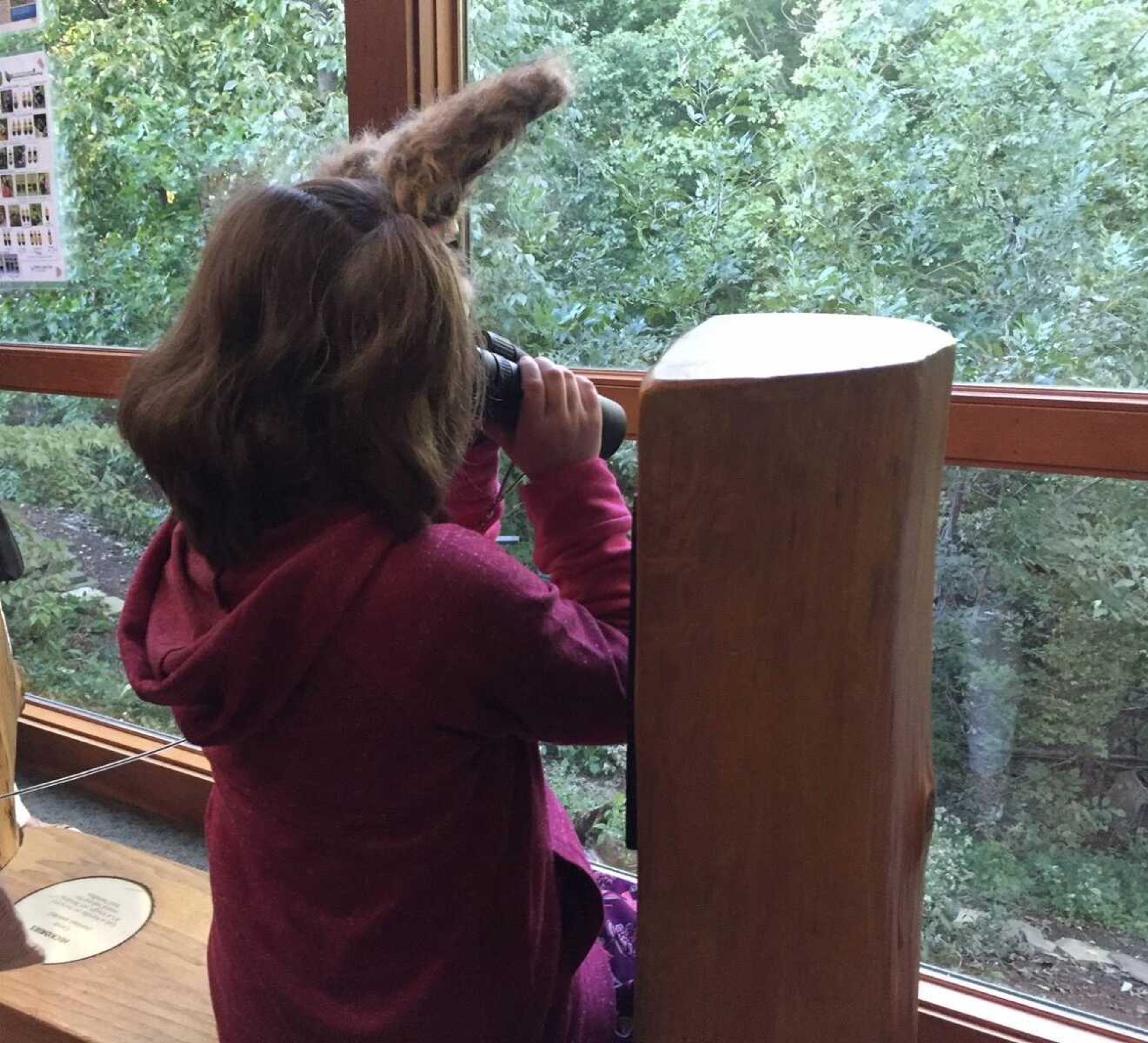 7-year-old Grace Siddigy bird watches at the Cape Girardeau Conservation Nature Center Fall Festival.