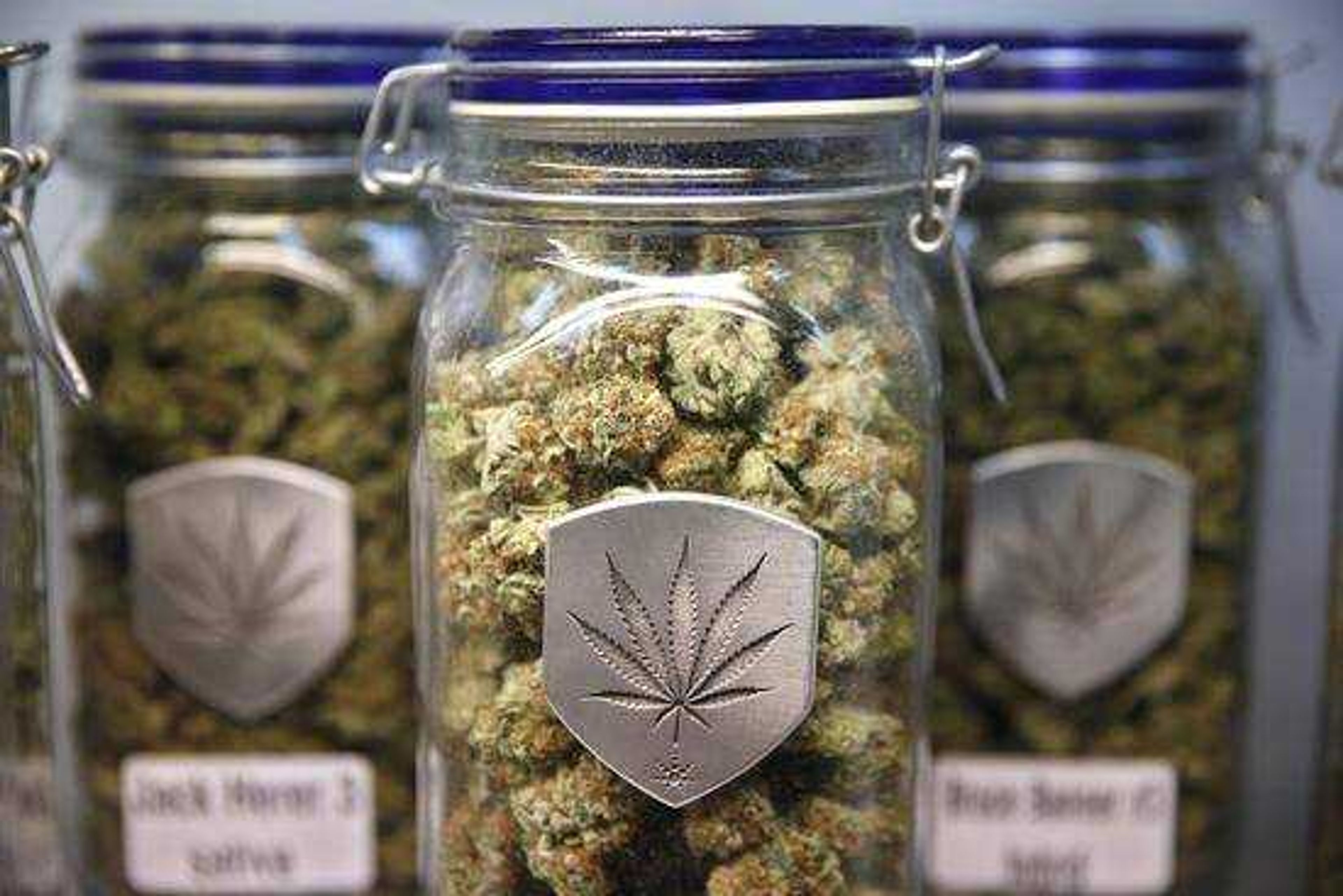 <b>Different strains of pot displayed for sale at Medicine Man marijuana dispensary in Denver. </b> Associated Press photo