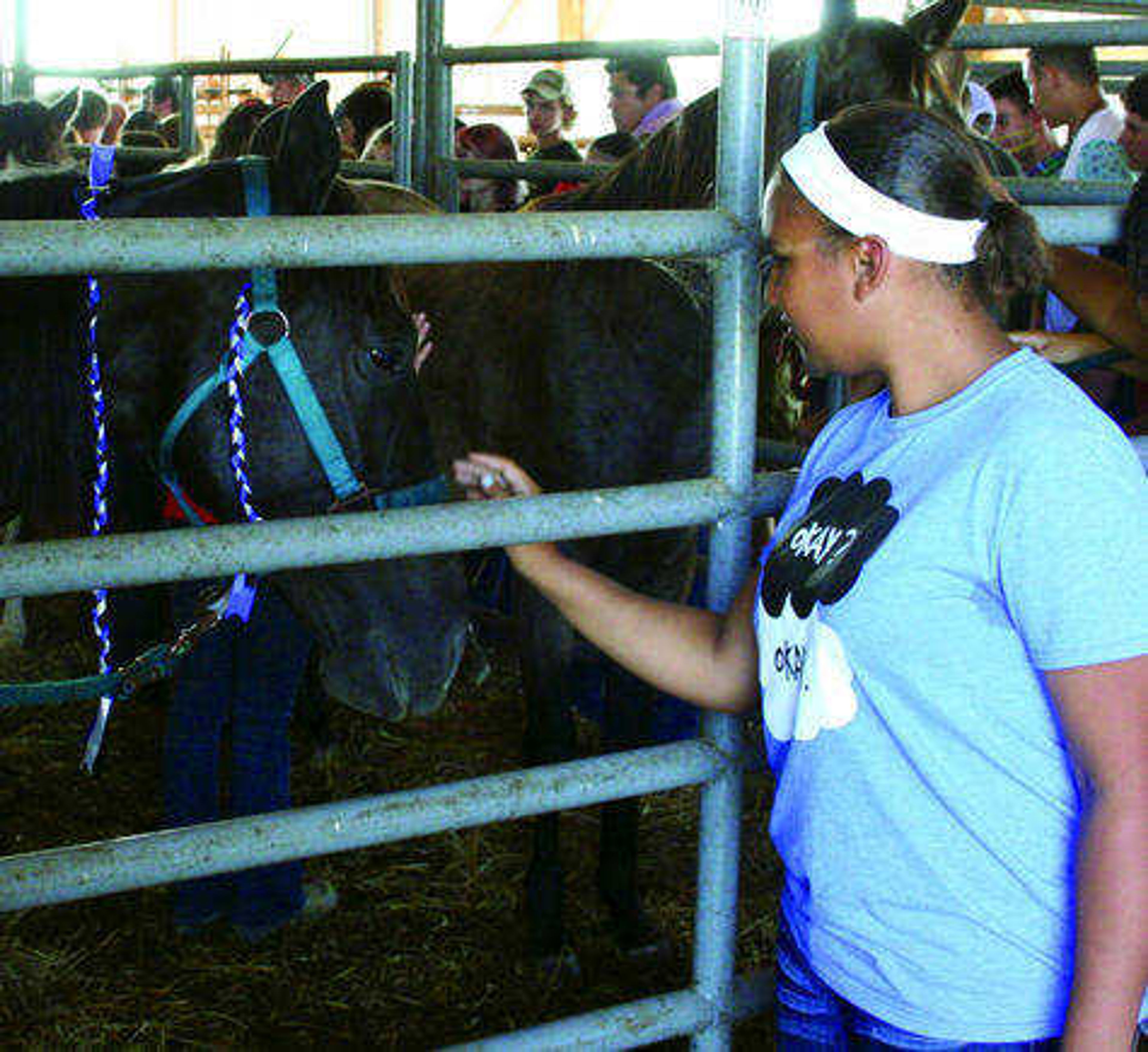 A student visits the horses at Wednesday's field day. Photo by Matt Brucker