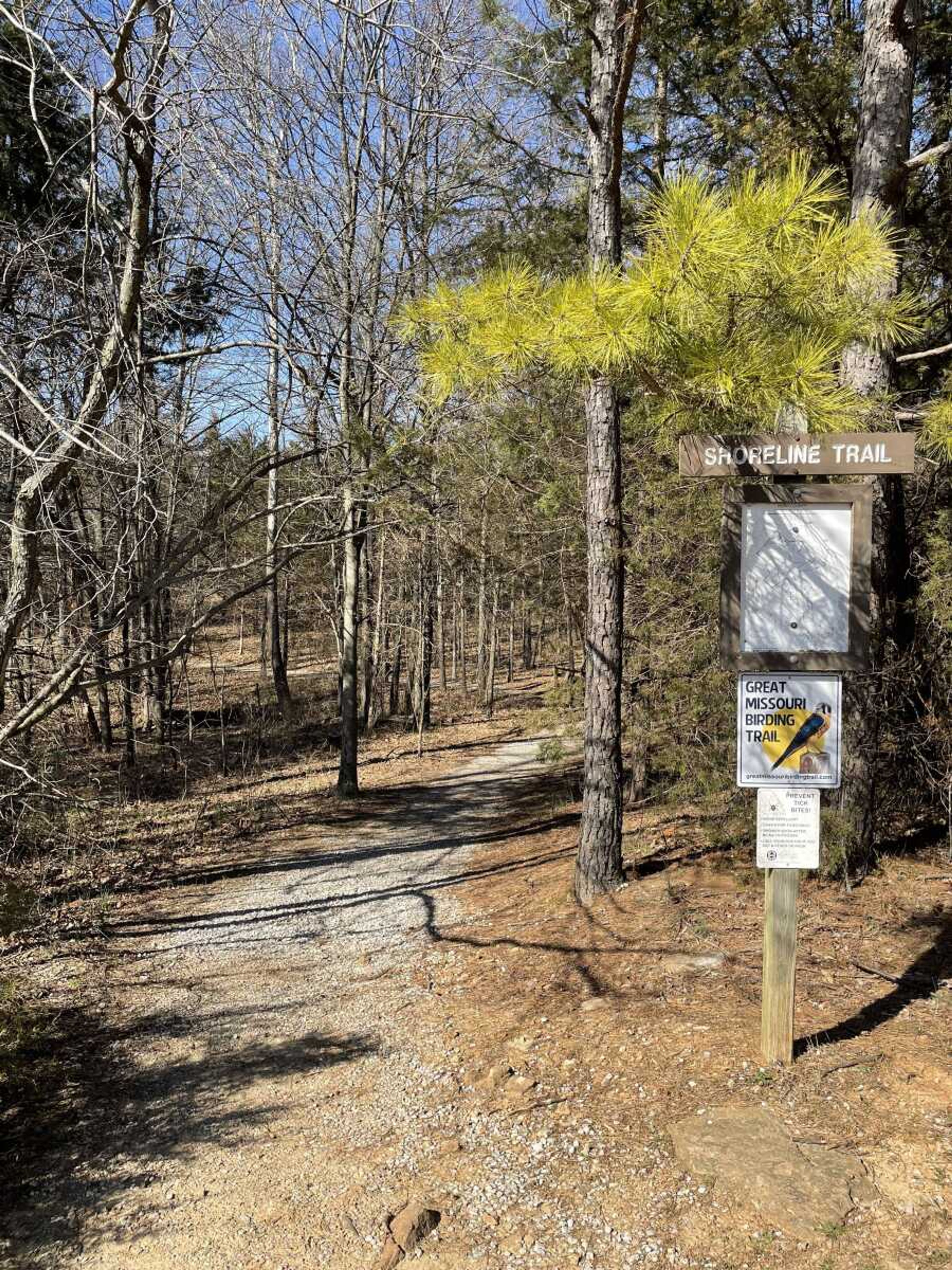 Shoreline Trail at Perry County Lake in Perryville, Mo is one trail students could hike during their spring break to relax and get some fresh air. 
