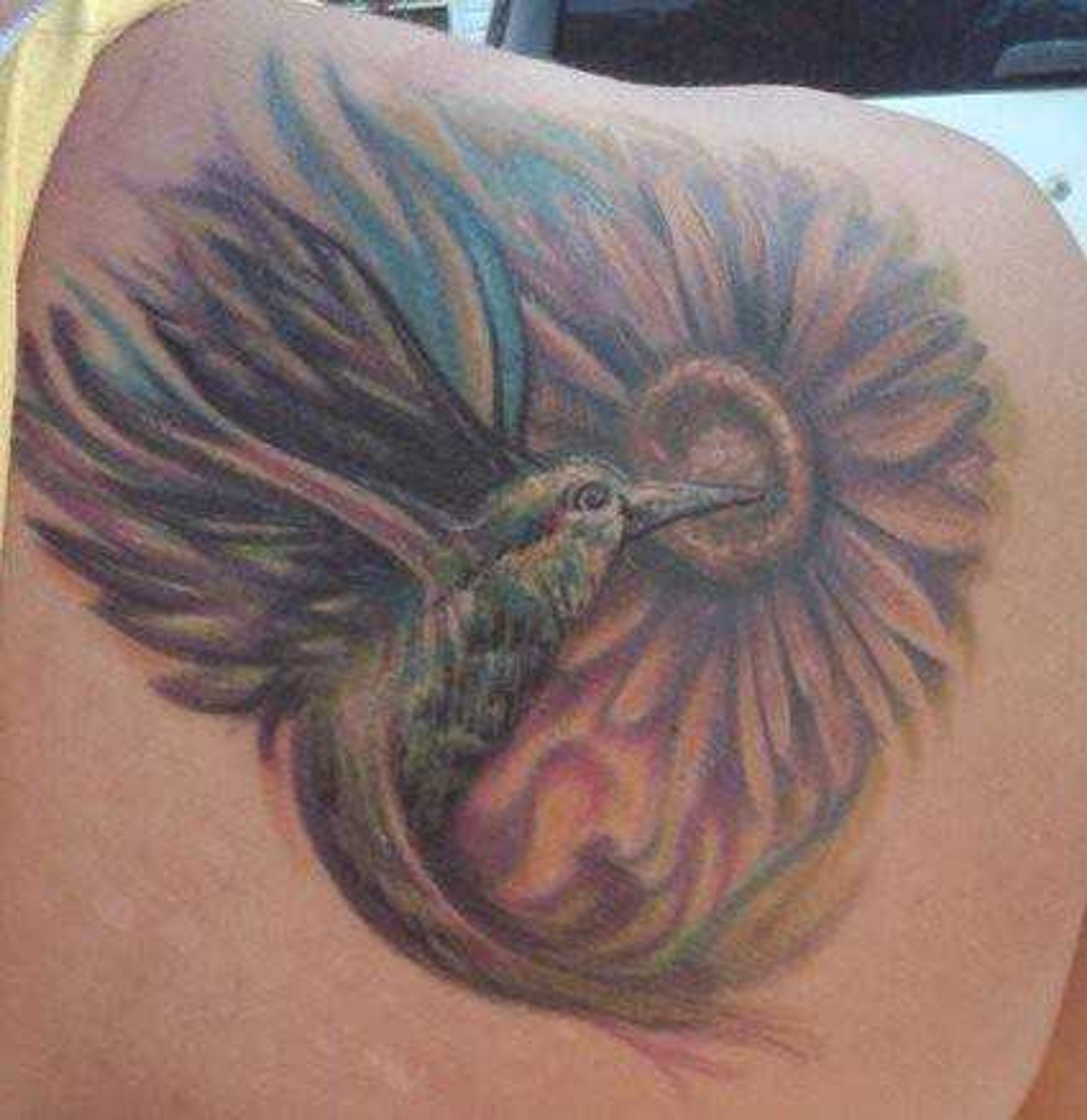 Sunflower and hummingbird