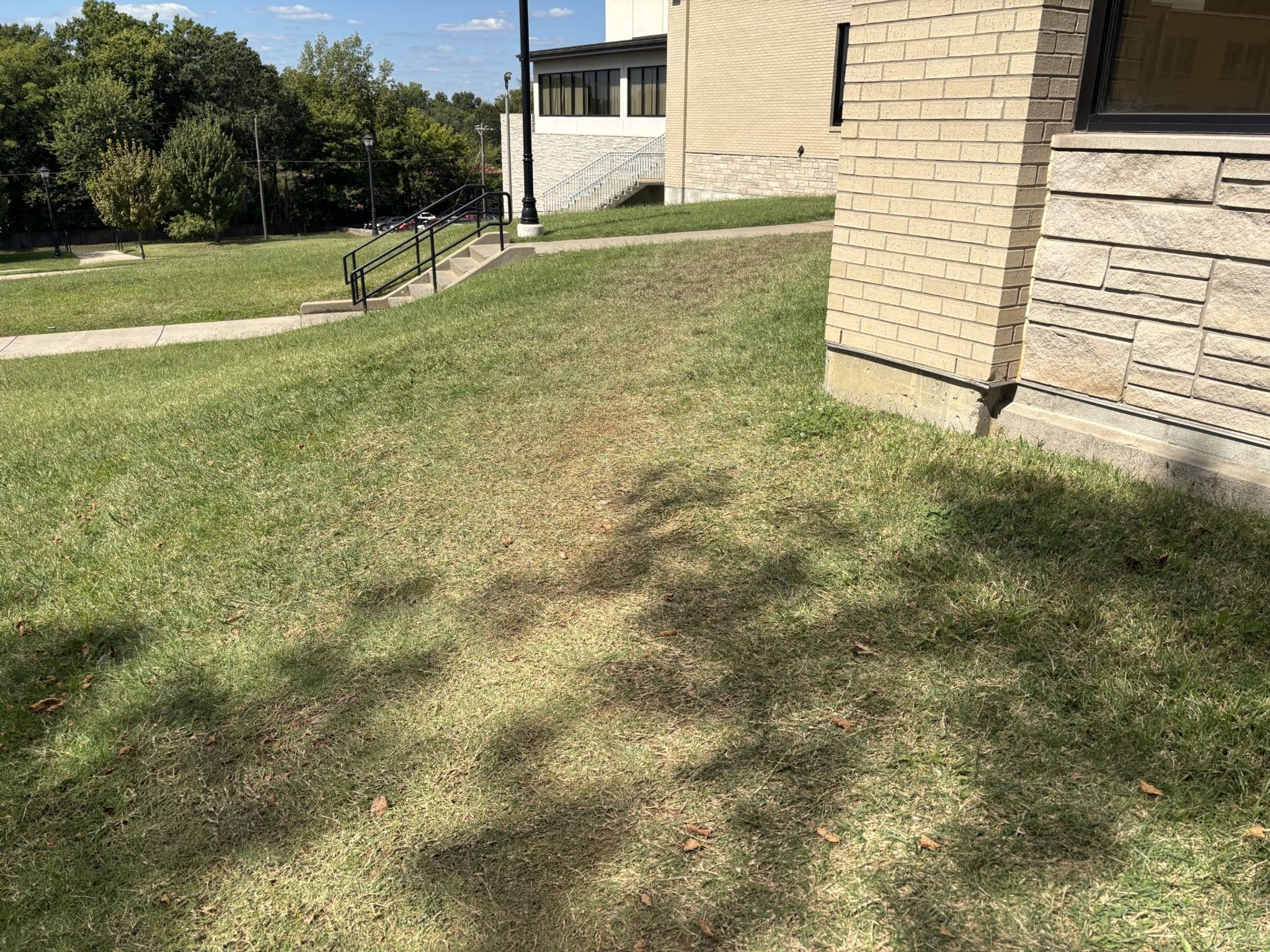 Walk Off Path Desire paths: why we walk off the beaten path