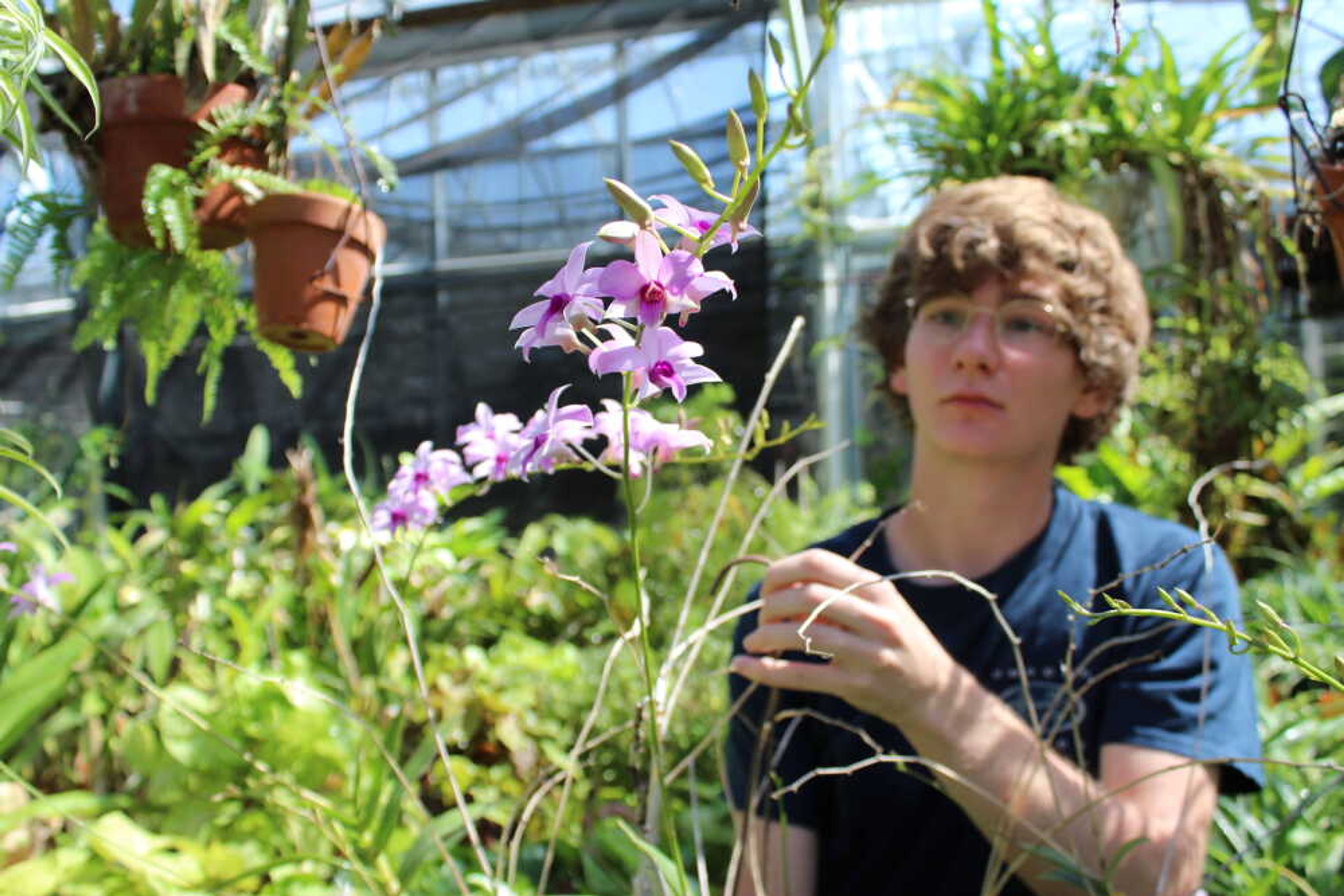 SEMO students showcase horticulture skills at Charles Hutson Greenhouse