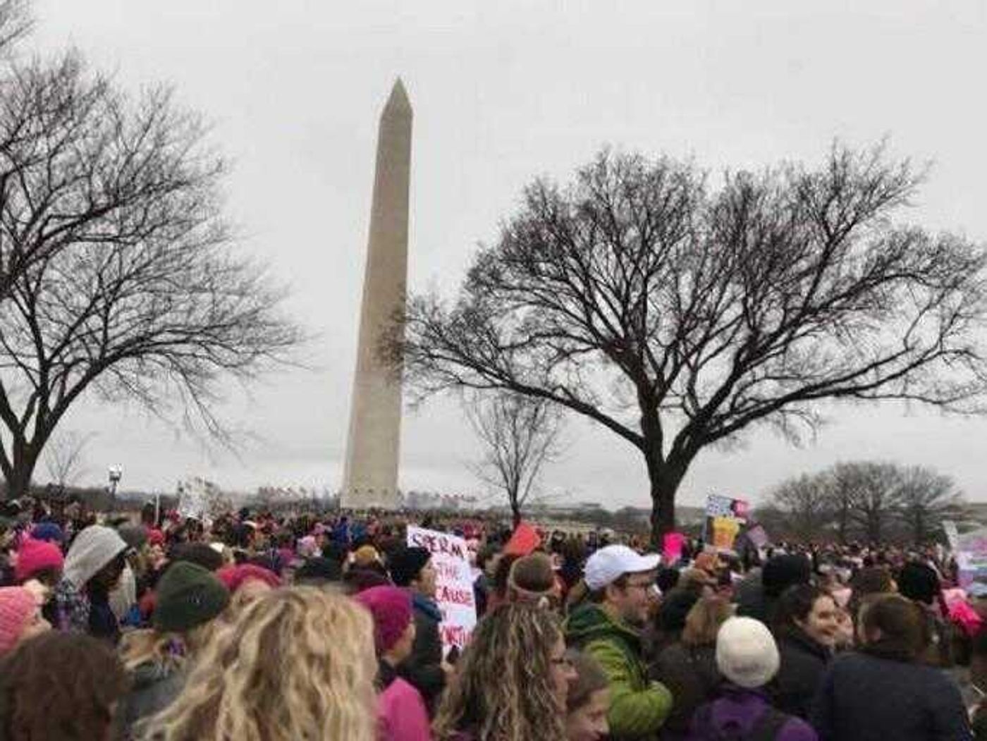 With the Washington Monument in the background, women marched on Jan. 21 in an event to go down in history.