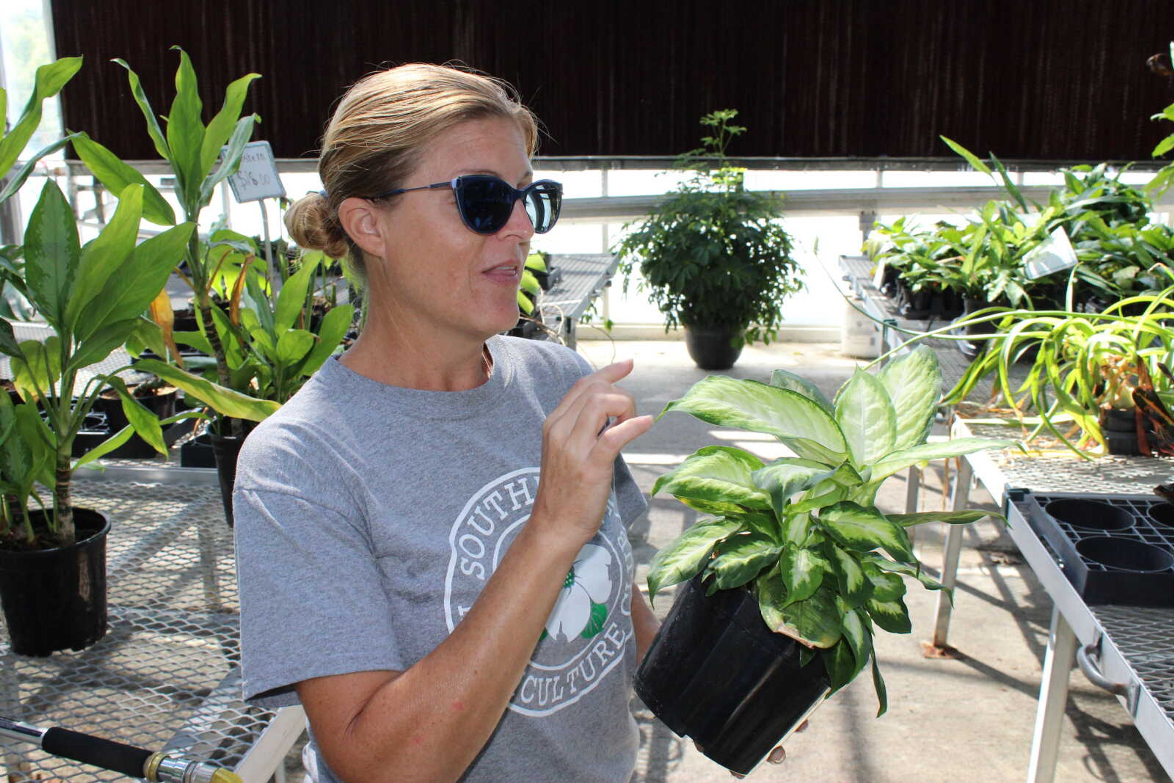 Greenhouse manager Melissa Holmes describes the toxicity of the dieffenbachia, known commonly as the dumb cane. "It's called dumb cane because you'd have to be dumb to eat it," Holmes said.
