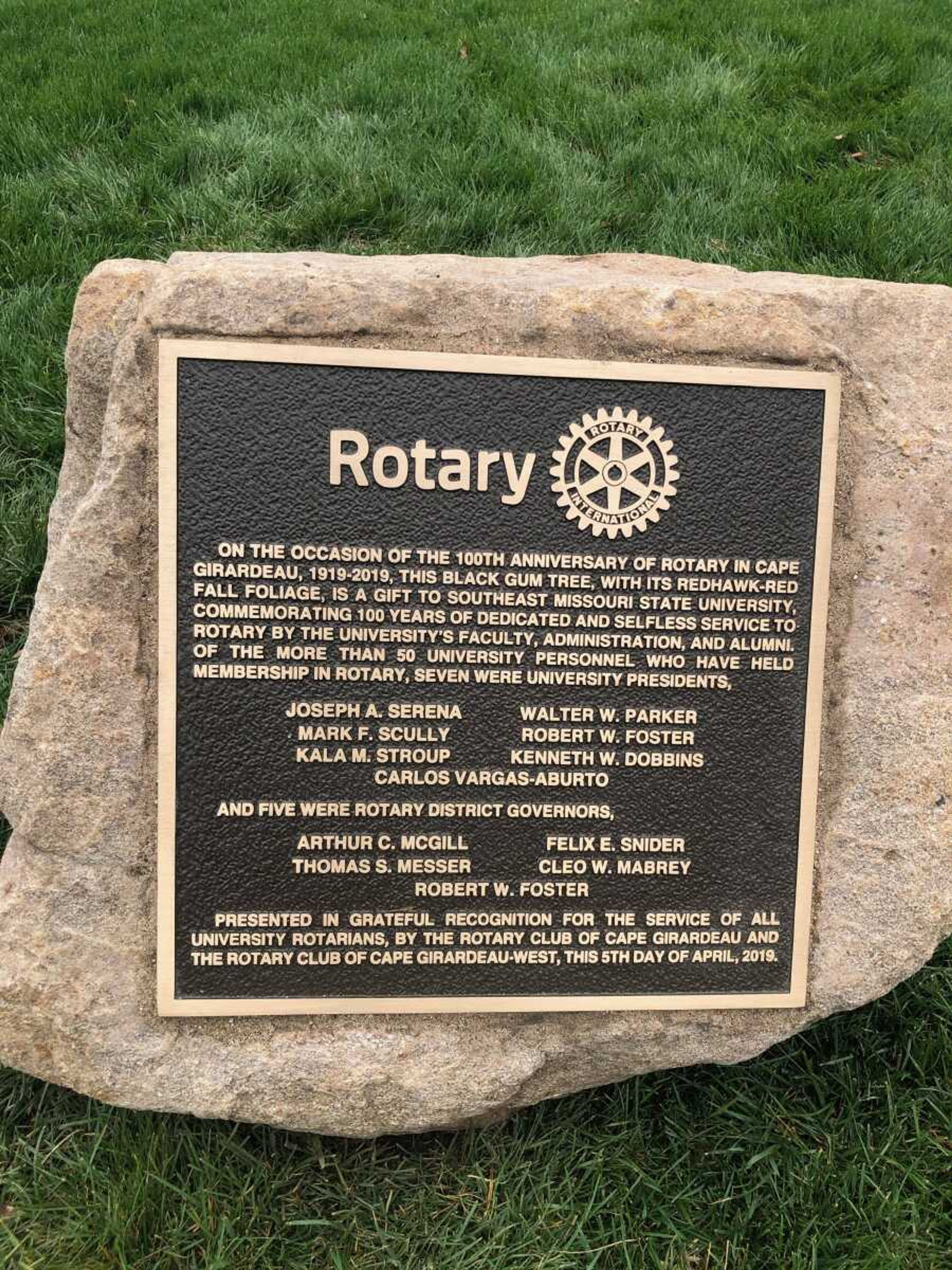 A plaque dedicated along with black gum tree planting to honor a century of service in the community from the local branch of the Rotary Club.