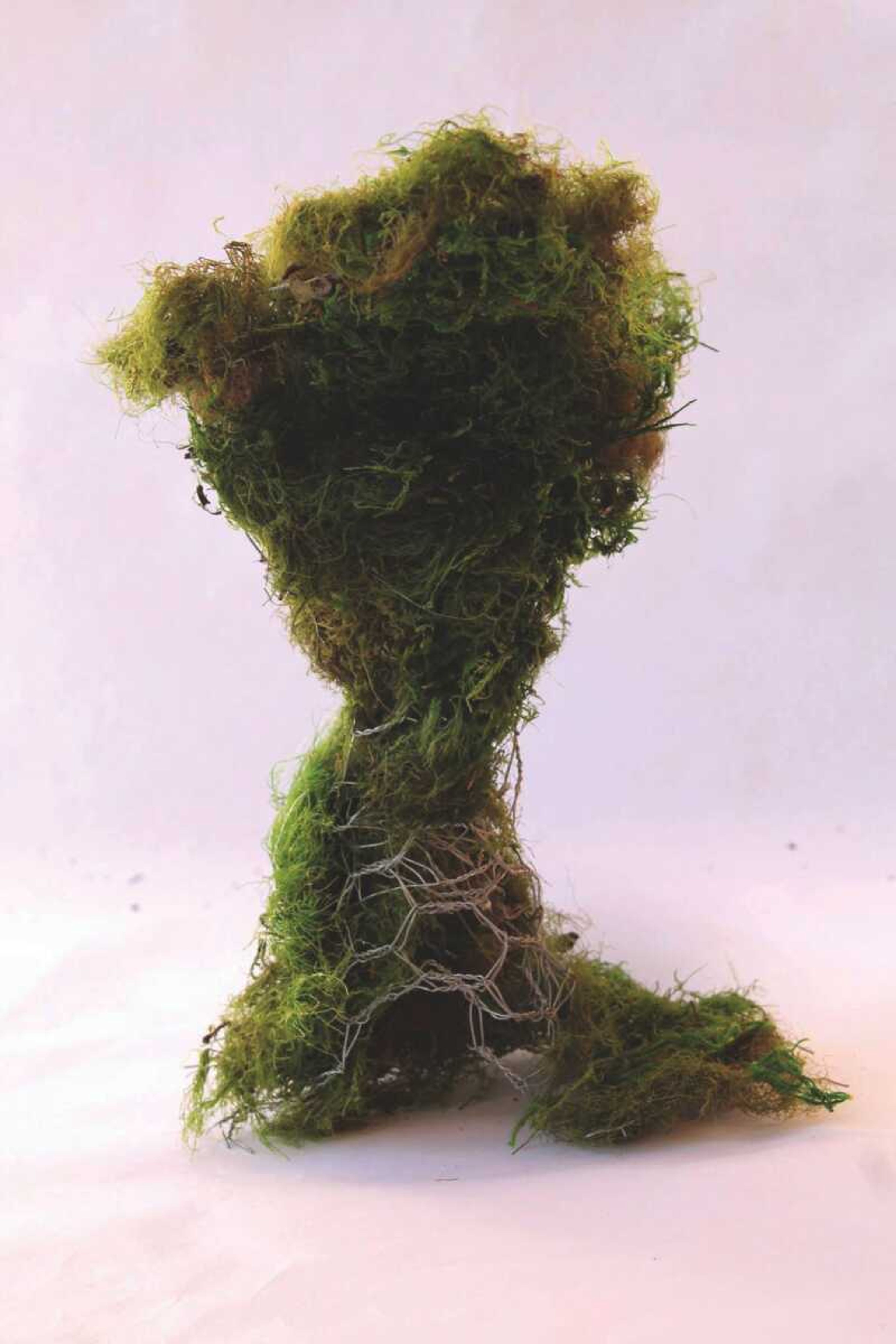 Kelsey Rost has created moss sculptures that will appear at the group exhibition on Friday at Cateye Glasses Studio.