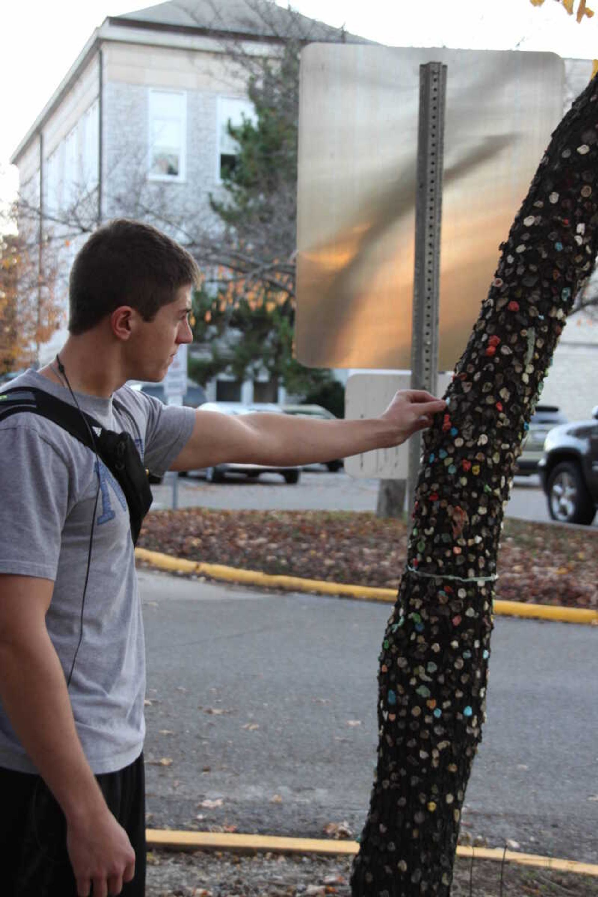 Southeast student Jake Leshe places his gum on the Gum Tree. Photo by Reggie Sanders
