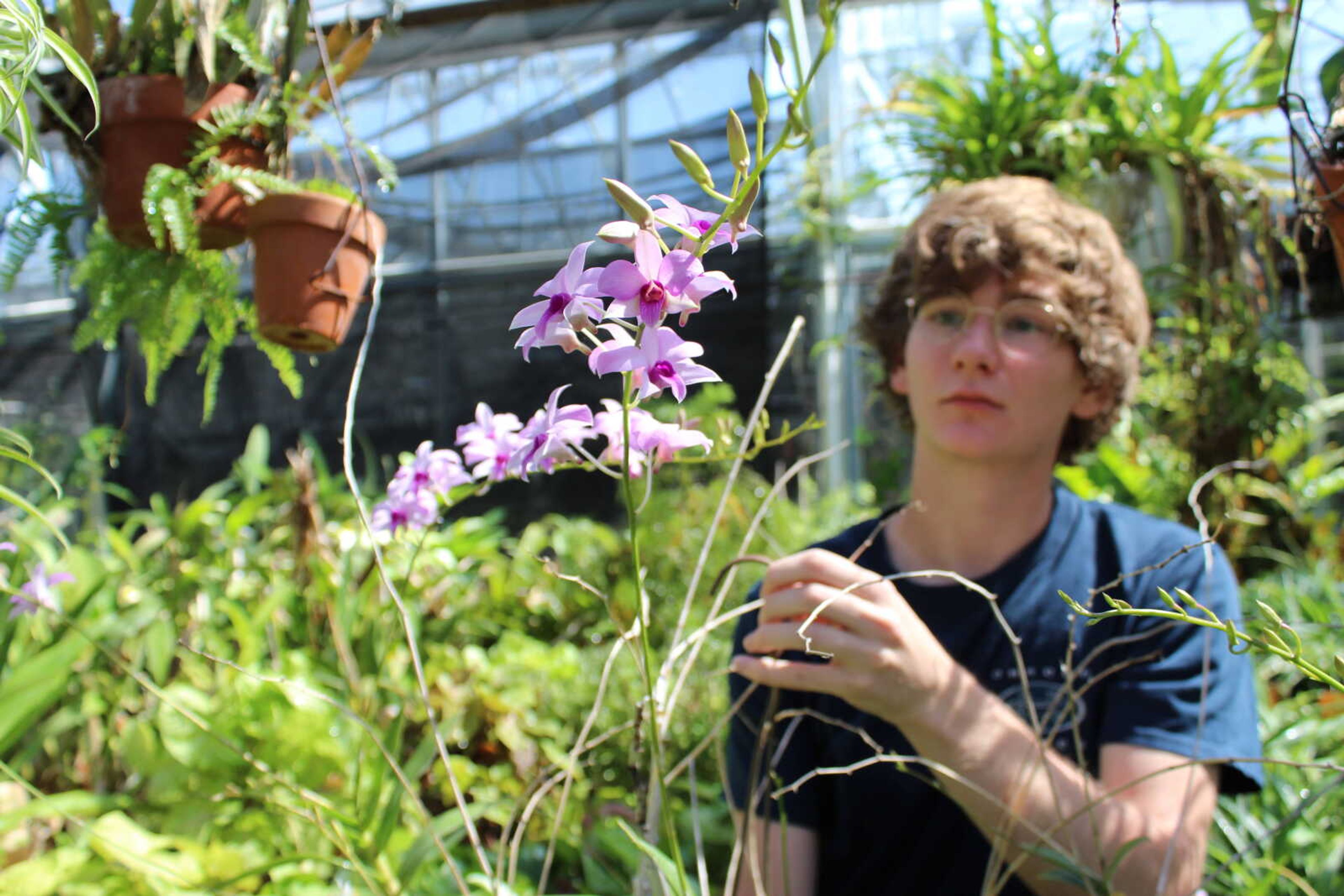 Senior horticulture and plant and soil science double major Ben Stack describes a variety of orchid. The plant is kept in the third greenhouse that is used for research purposes and is not open to the public.