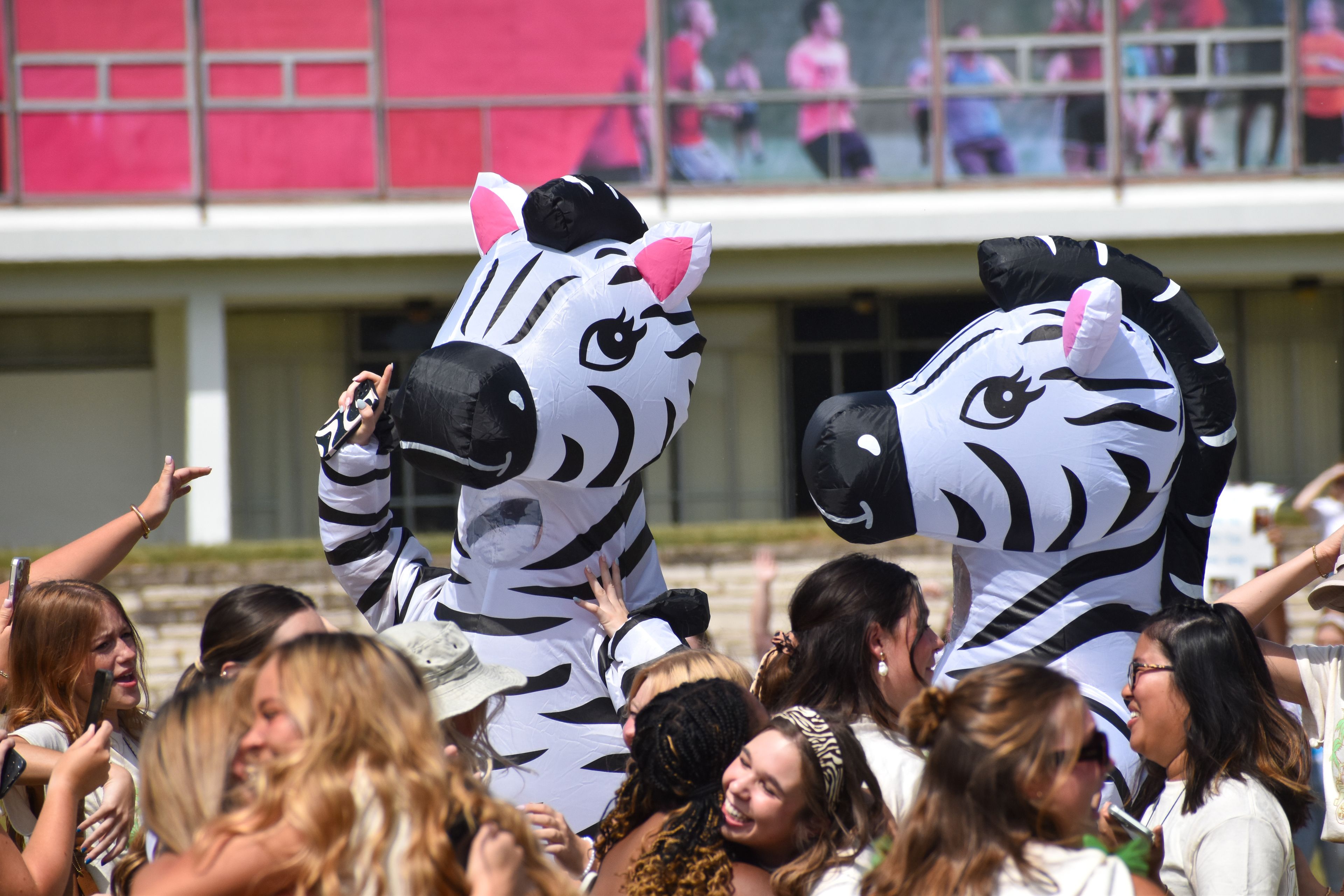 Delta Delta Delta celebrates after running home on sorority bid day.