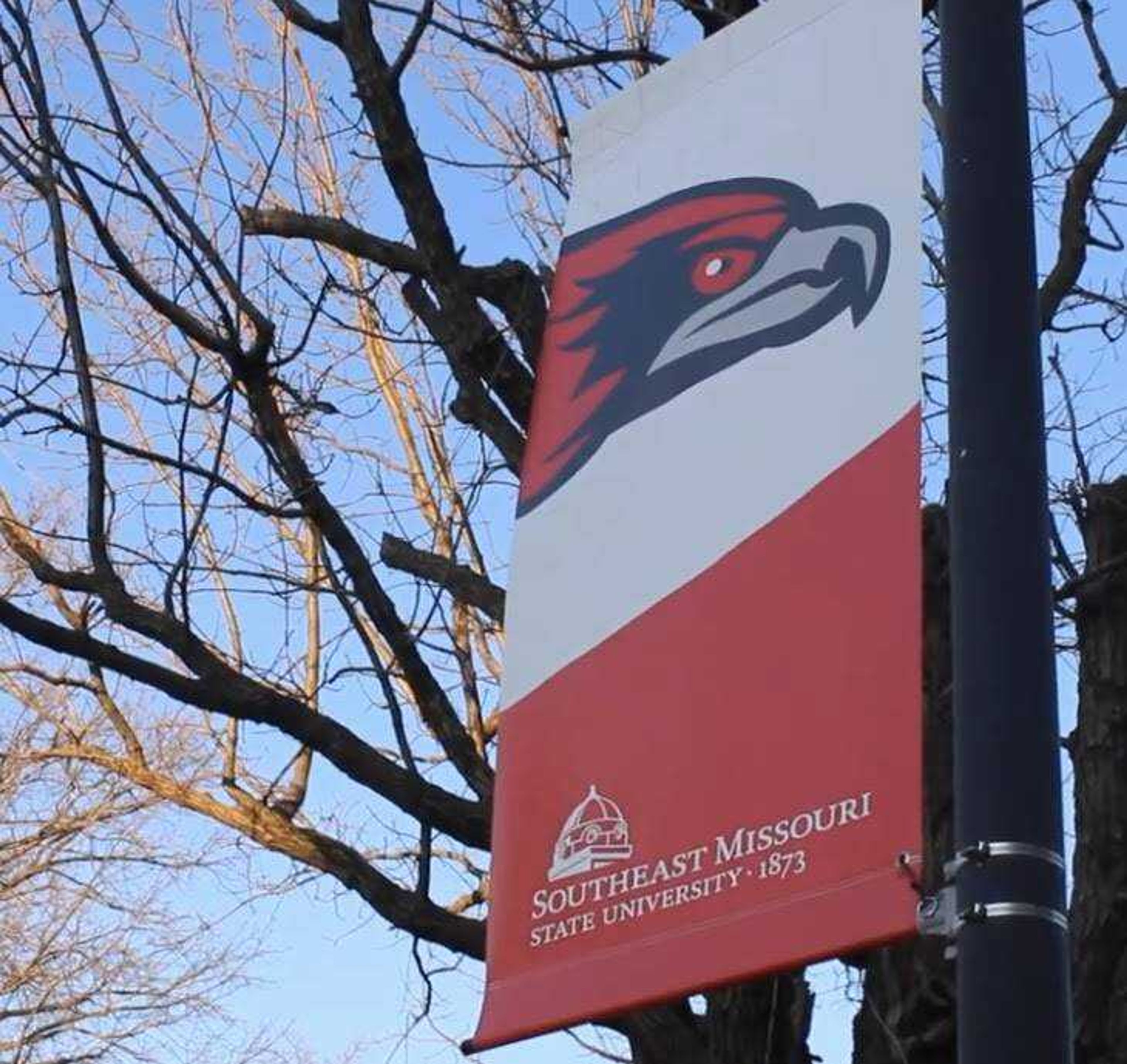 Southeast Missouri State University banner 
