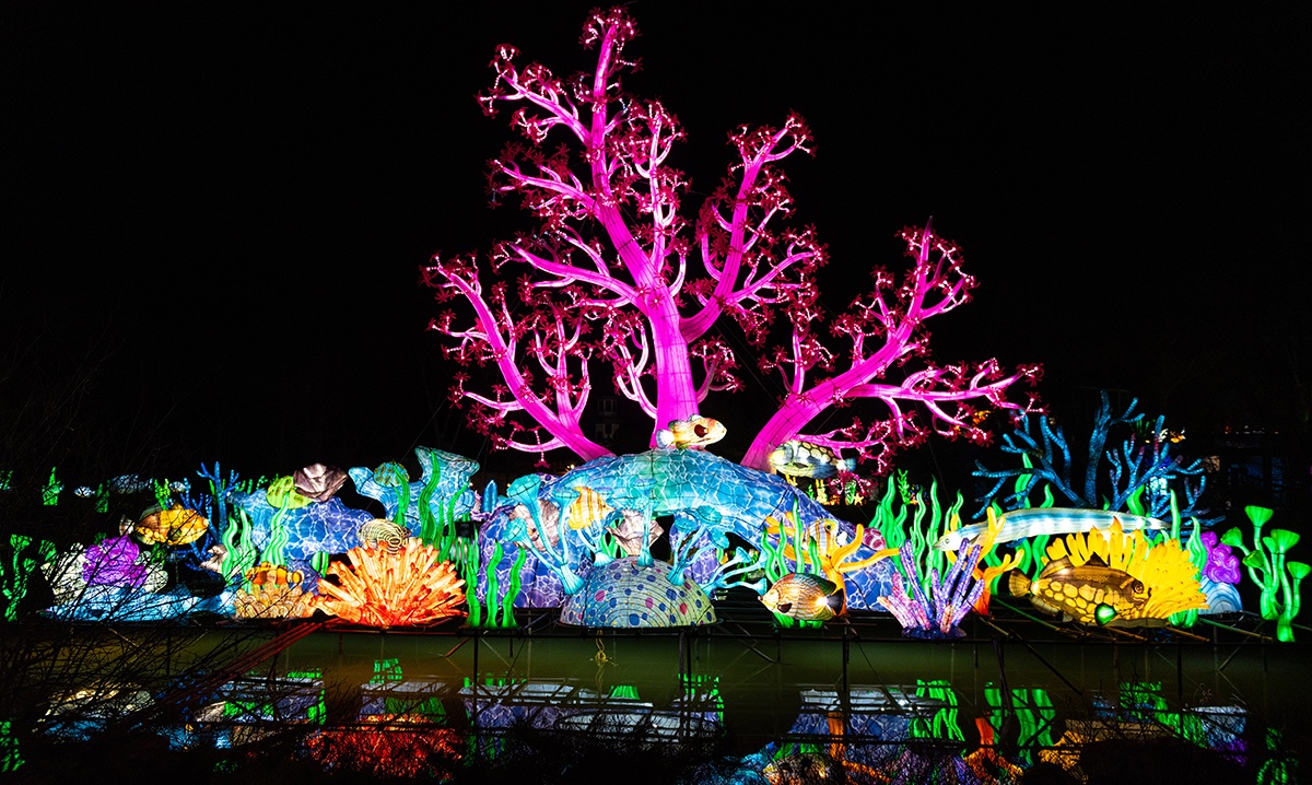 See Giant Glowing Pandas, Seahorses and More at the Fort Way