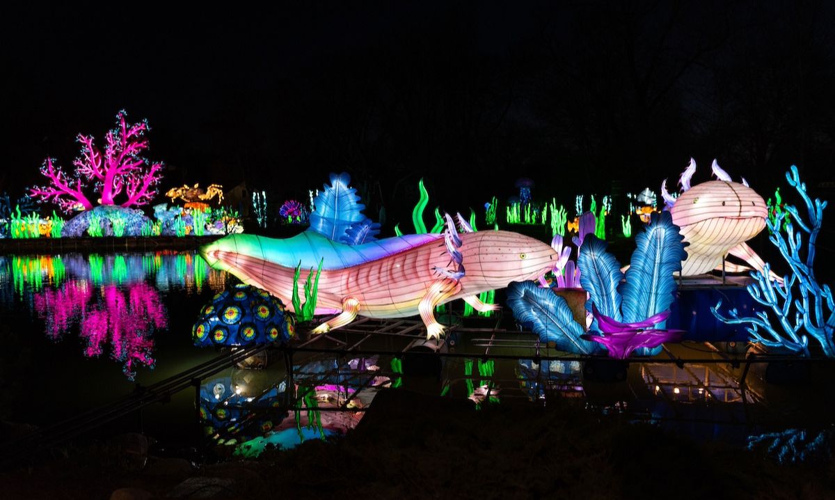 See Giant Glowing Pandas, Seahorses and More at the Fort Way