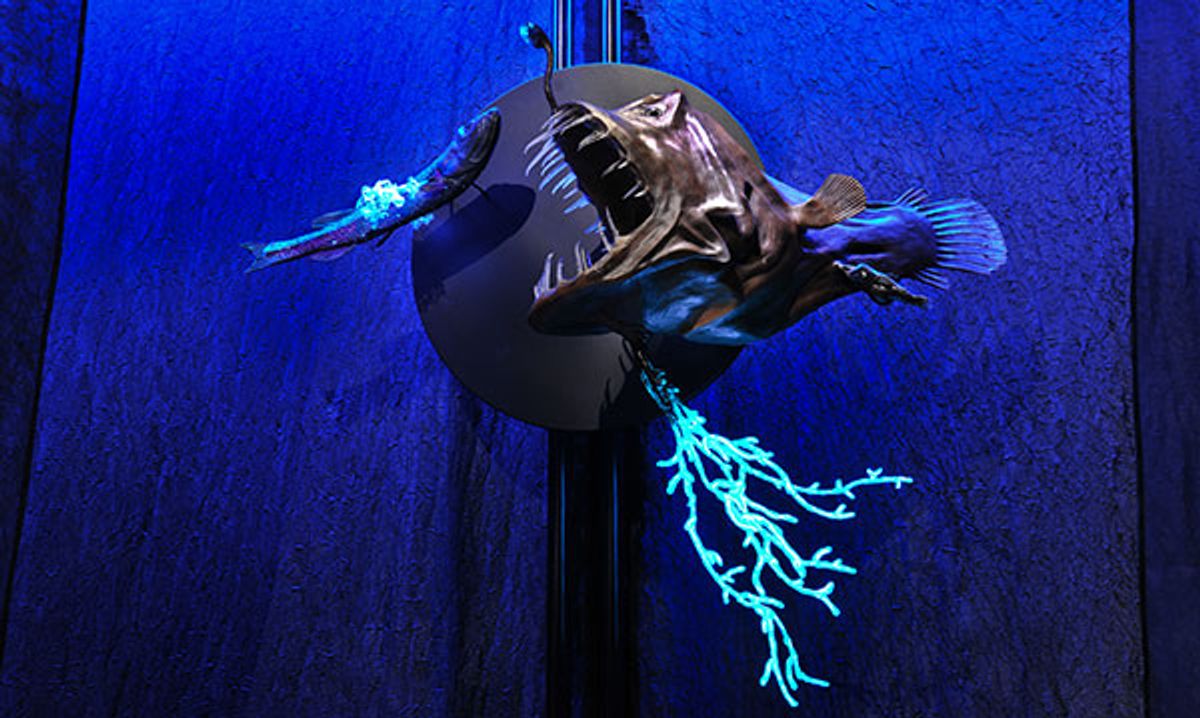 Lightworm Creatures of Light: Nature's Bioluminescence at Michigan Sci...