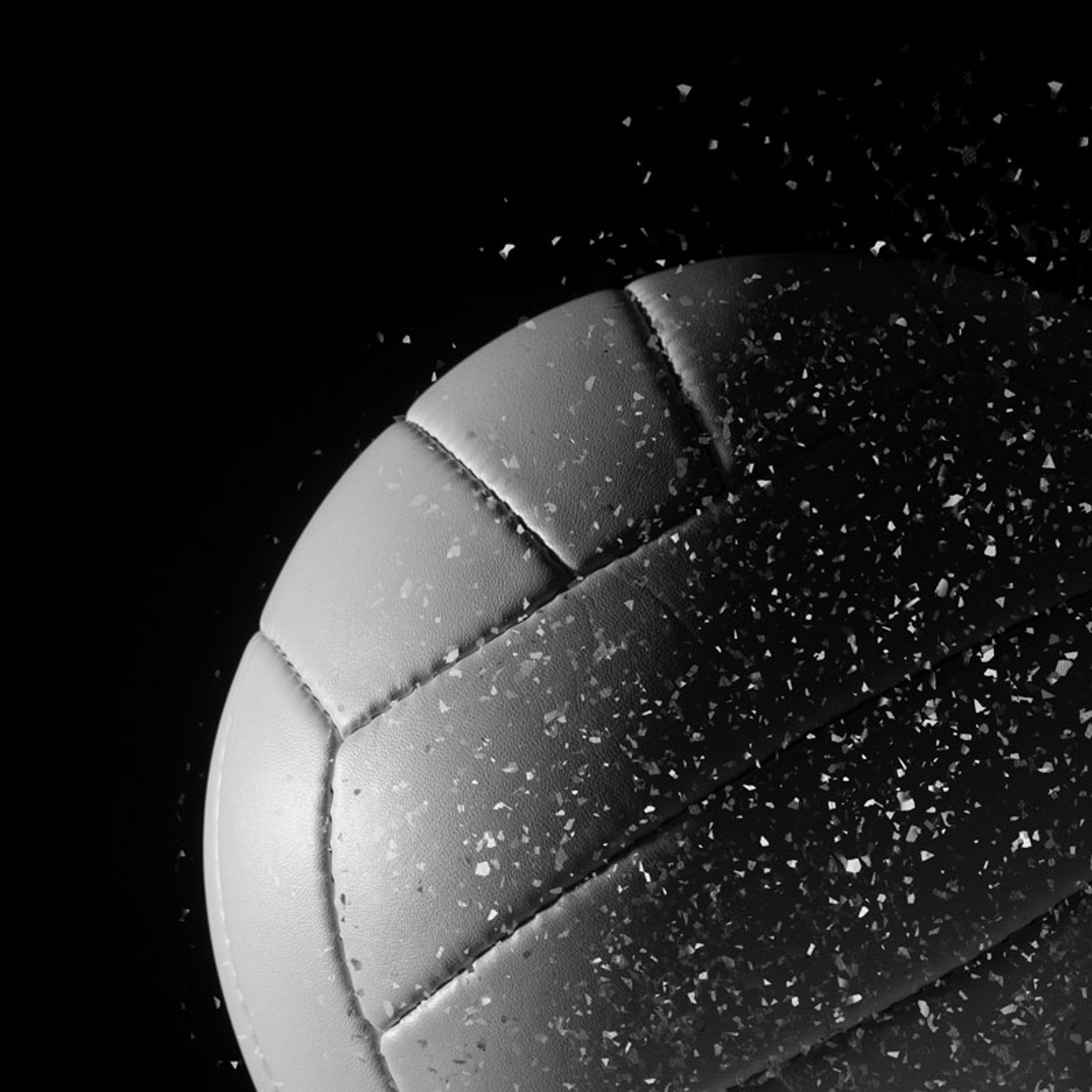 Fall Finalists: Girls Volleyball